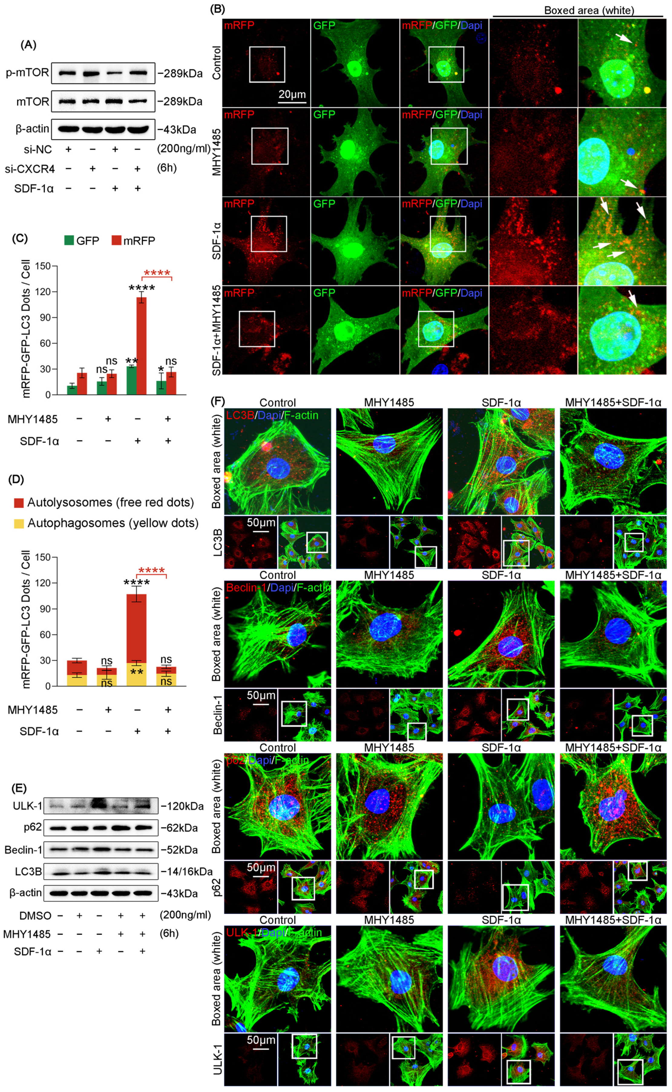 Ijms 24 01710 g005 Ijms 24 01710 g005