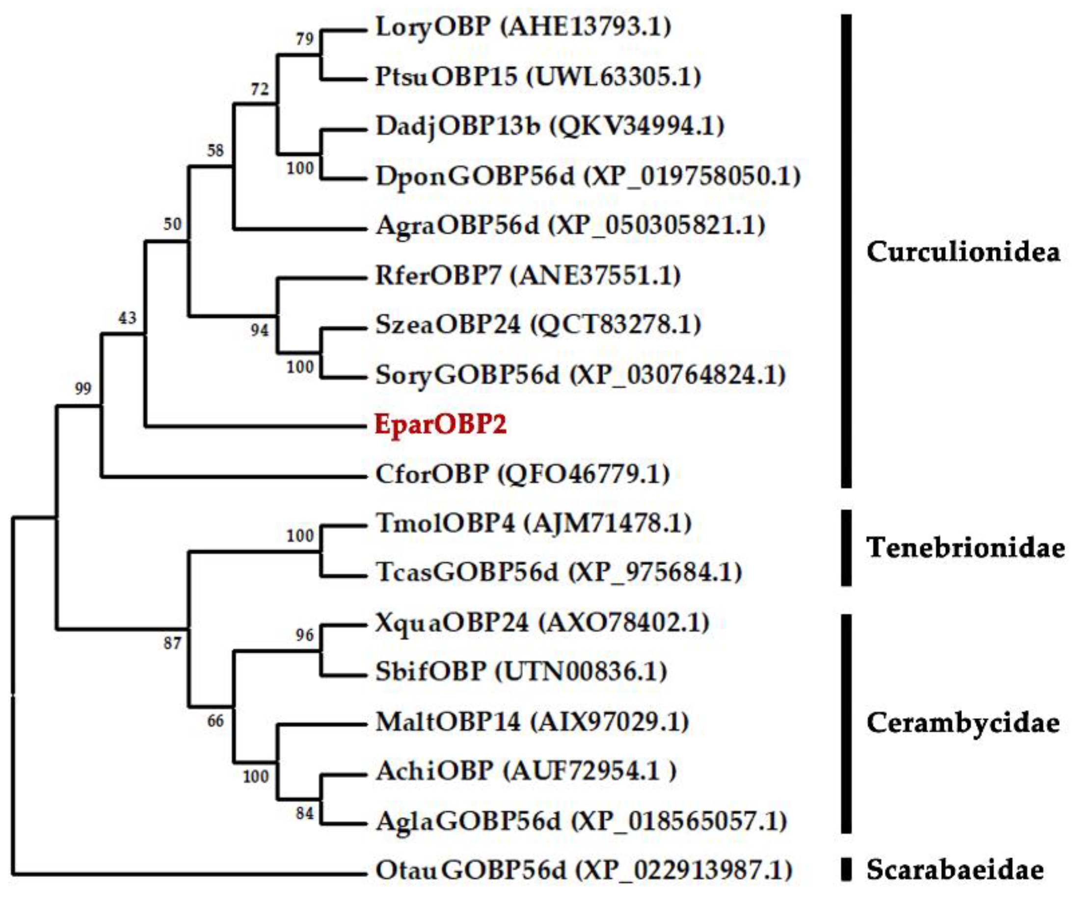 Ijms 24 01714 g003 Ijms 24 01714 g003