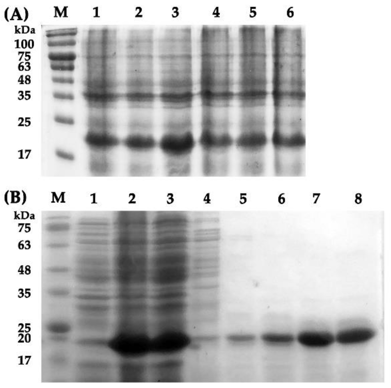 Ijms 24 01714 g005 Ijms 24 01714 g005