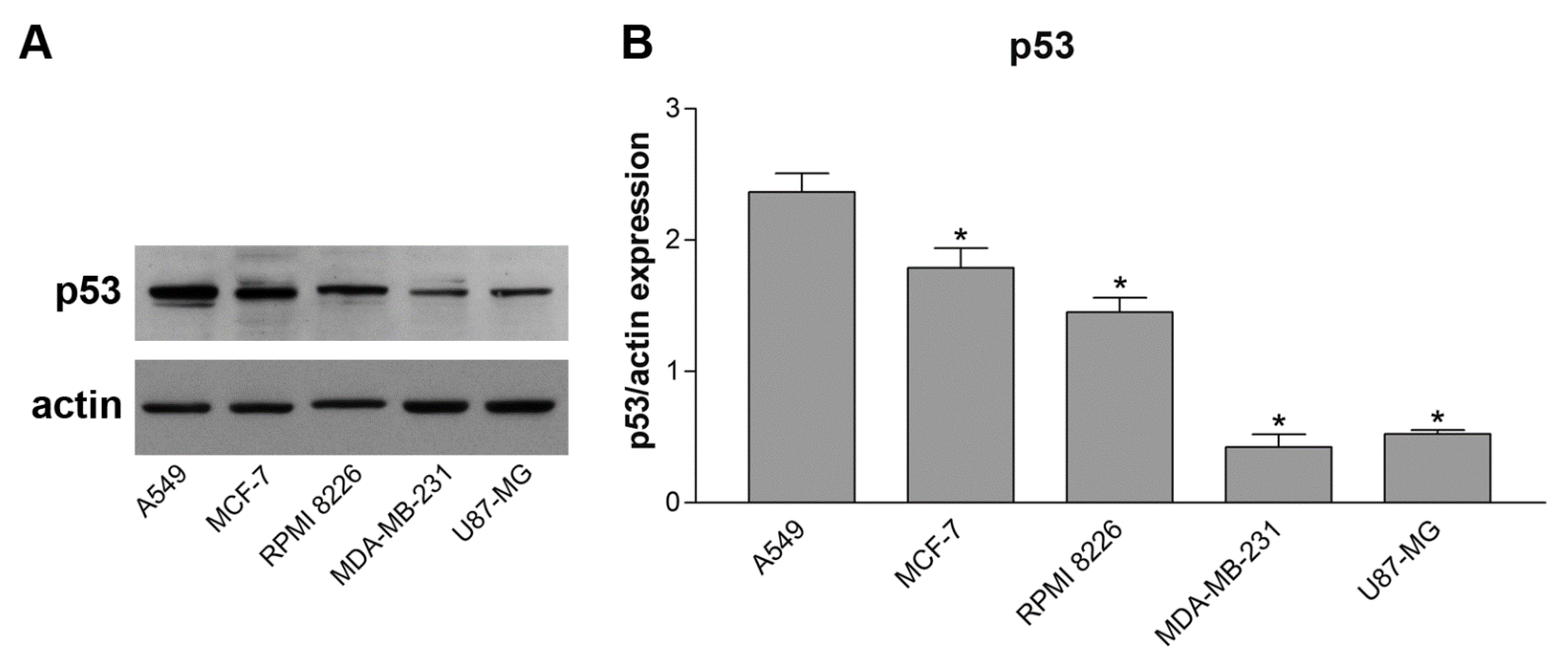 Ijms 24 01721 g002 Ijms 24 01721 g002