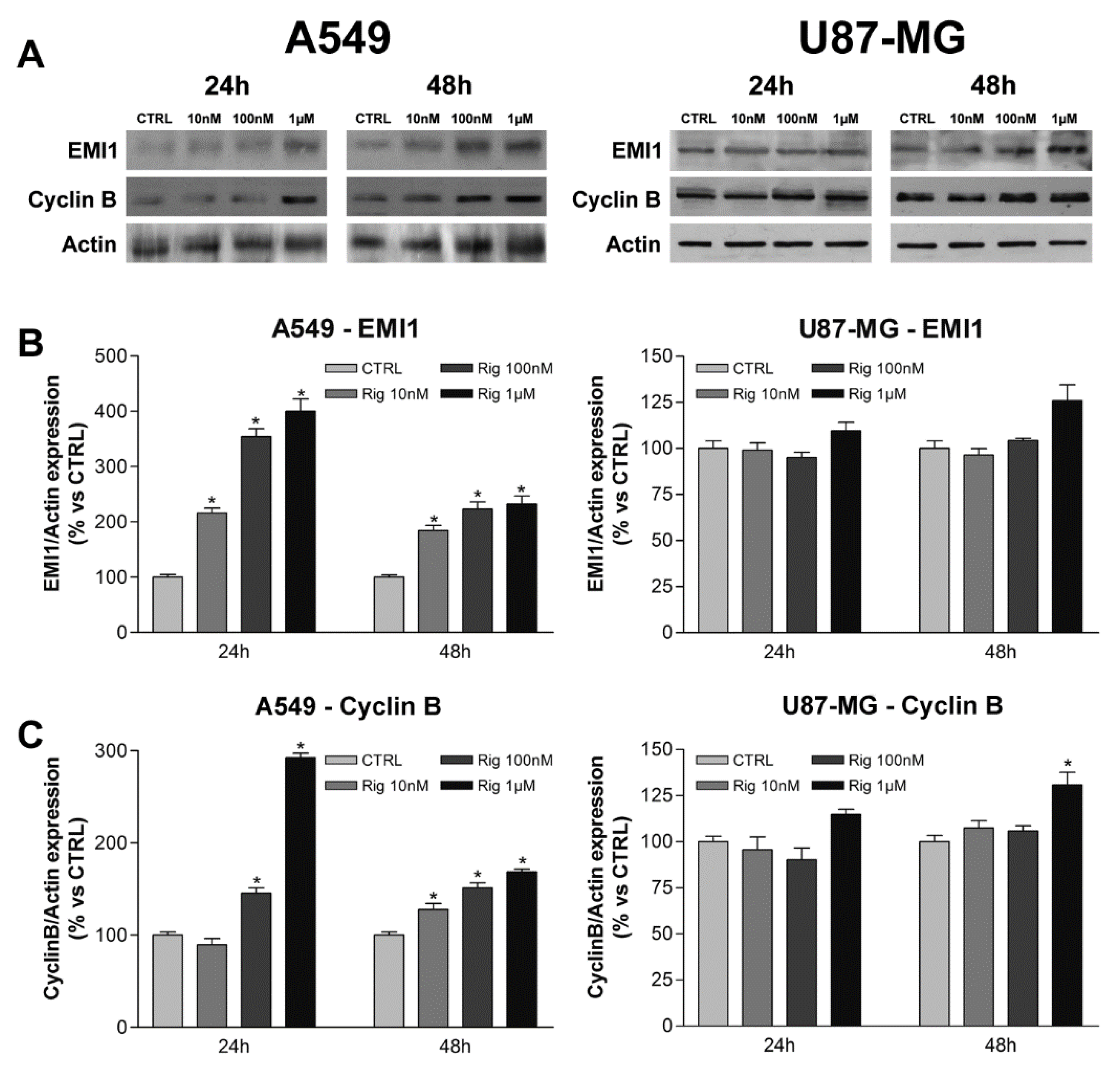Ijms 24 01721 g006 Ijms 24 01721 g006