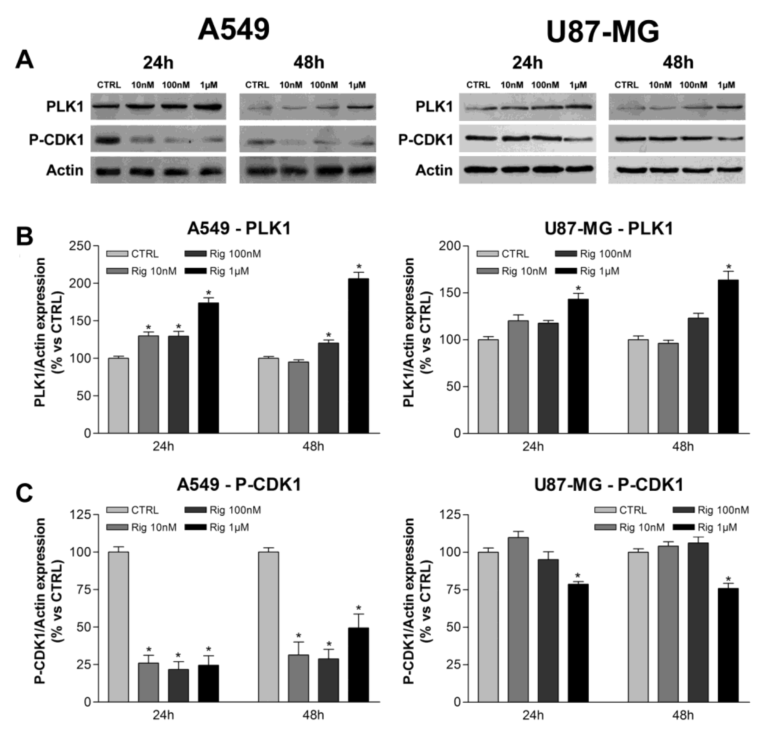 Ijms 24 01721 g007 Ijms 24 01721 g007