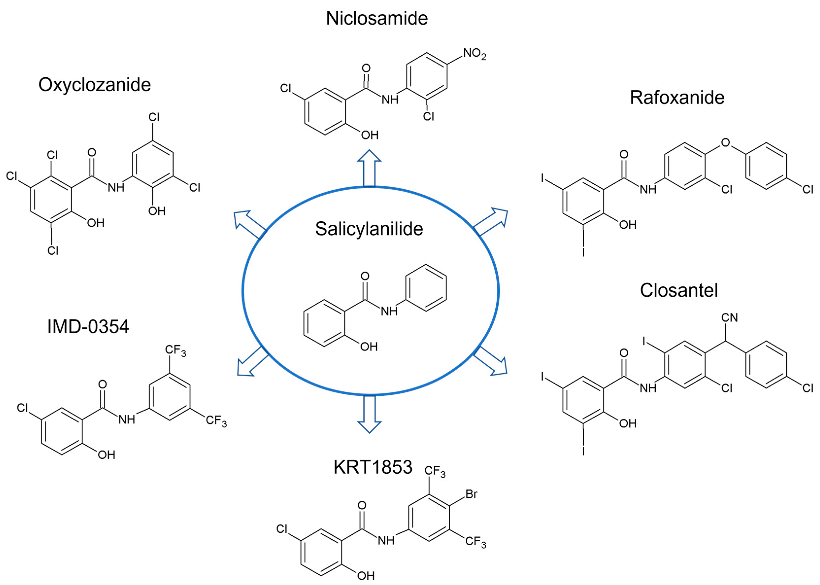 Ijms 24 01728 g001 Ijms 24 01728 g001