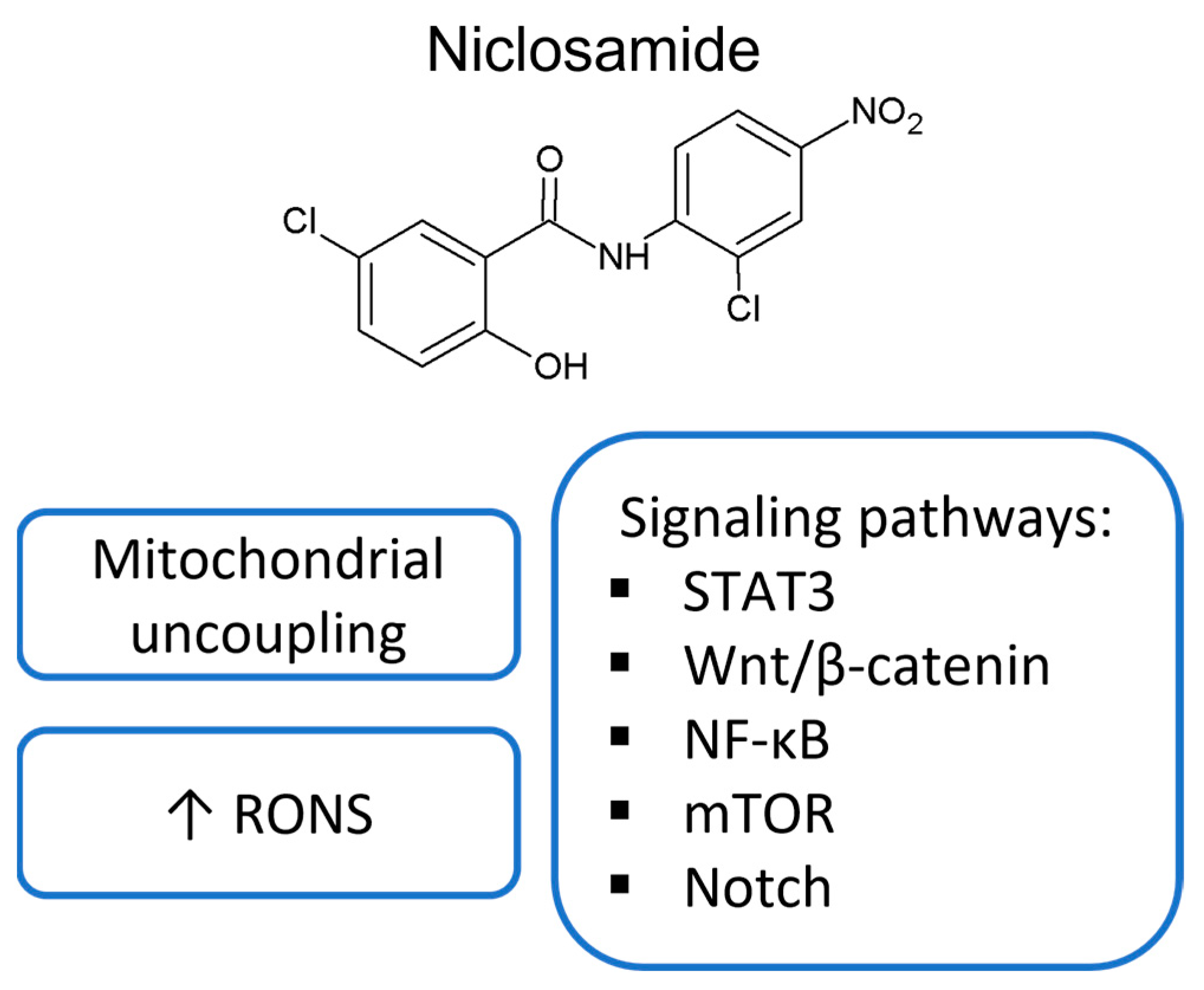 Ijms 24 01728 g002 Ijms 24 01728 g002