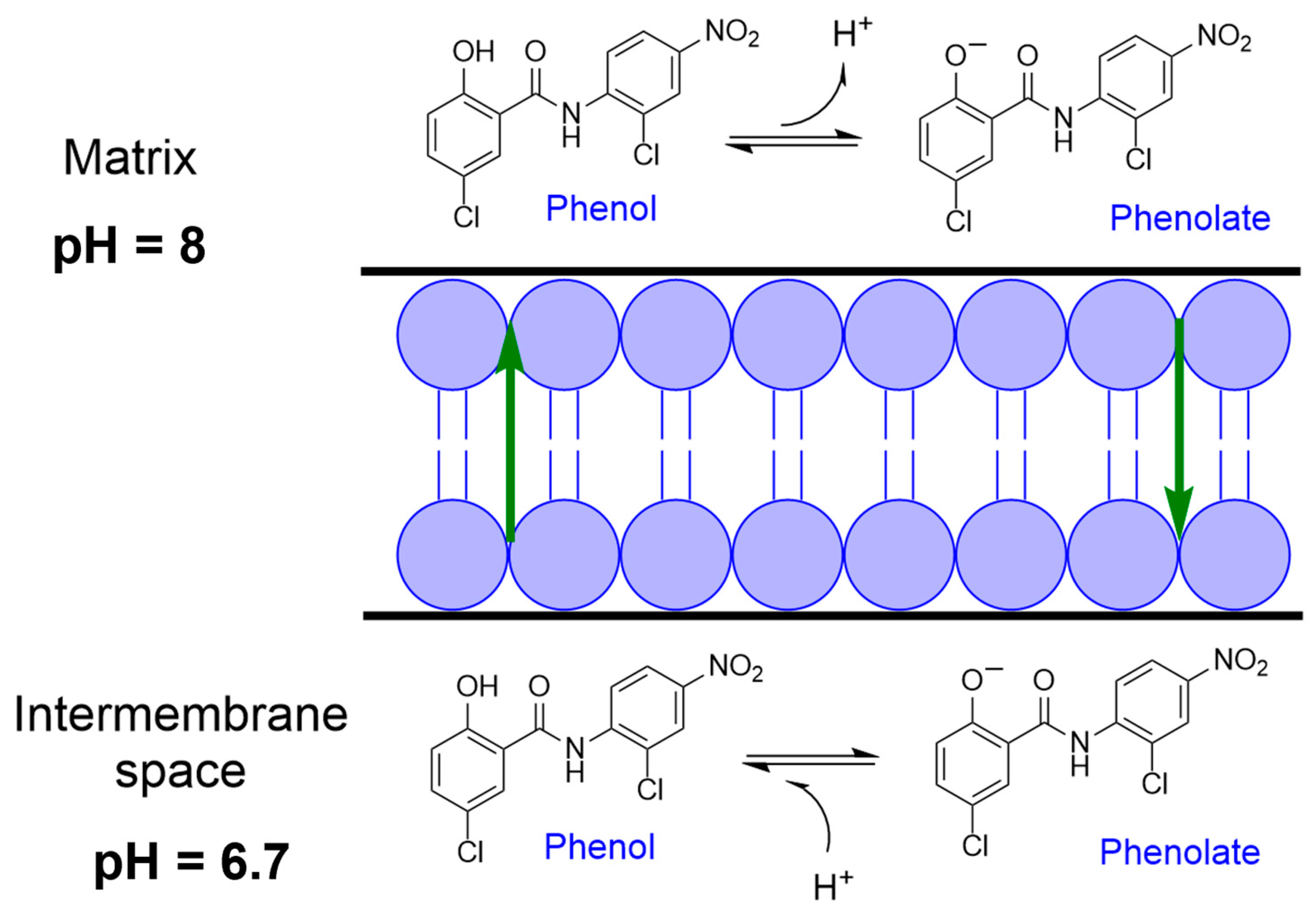 Ijms 24 01728 g004 Ijms 24 01728 g004