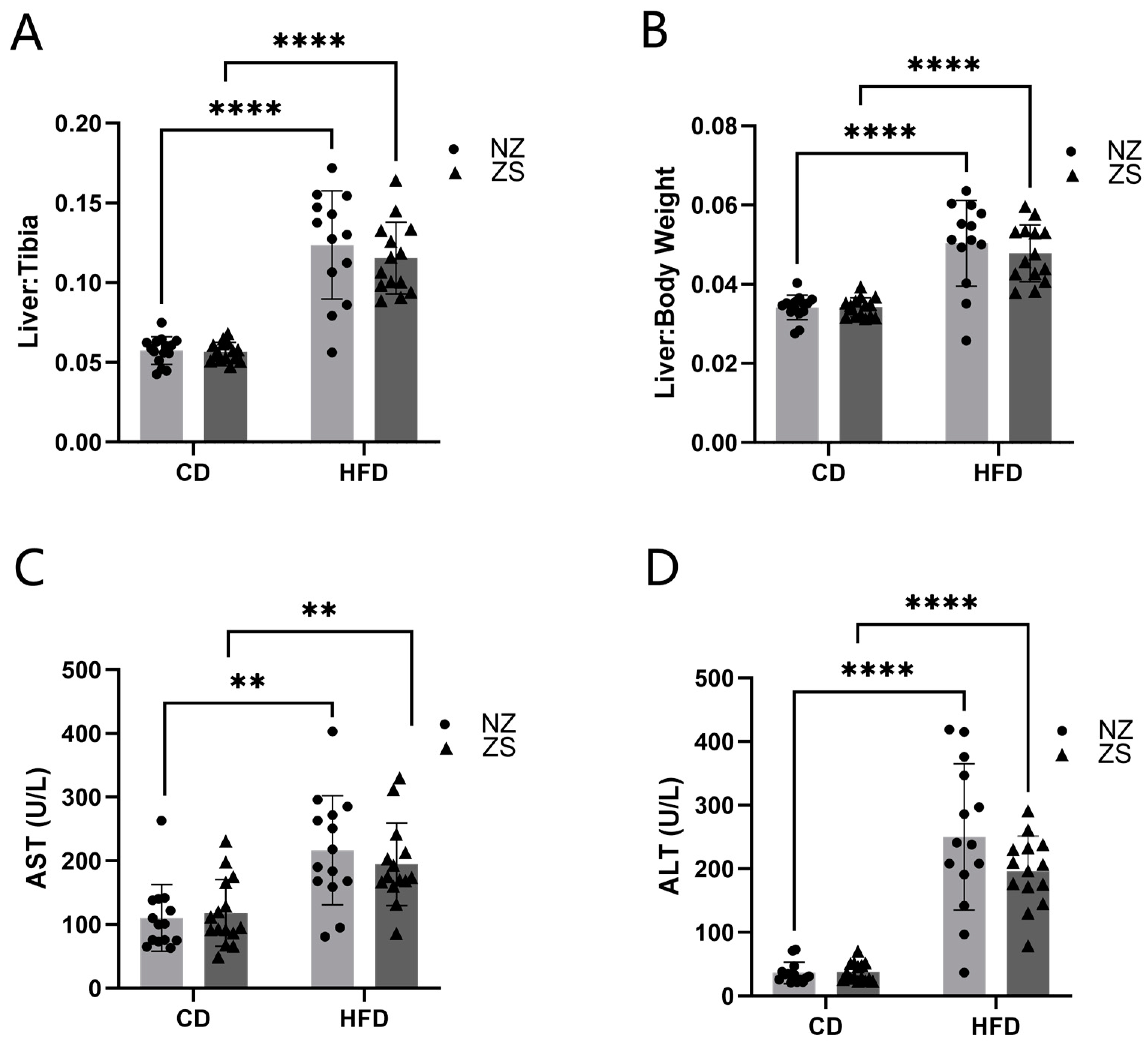 IJMS Free FullText Can Zinc Supplementation Attenuate High Fat DietInduced NonAlcoholic