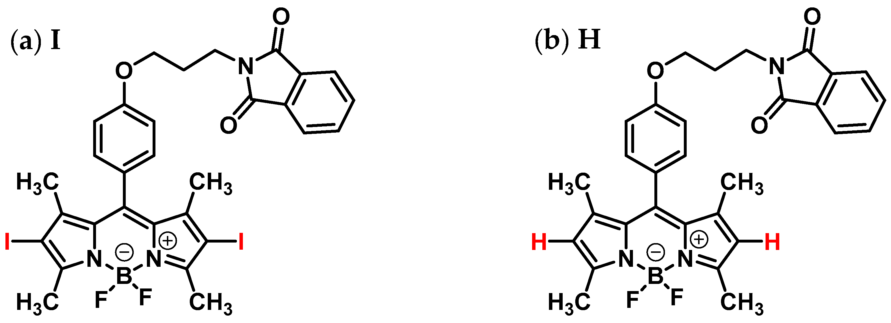 Ijms 24 01770 g001 Ijms 24 01770 g001