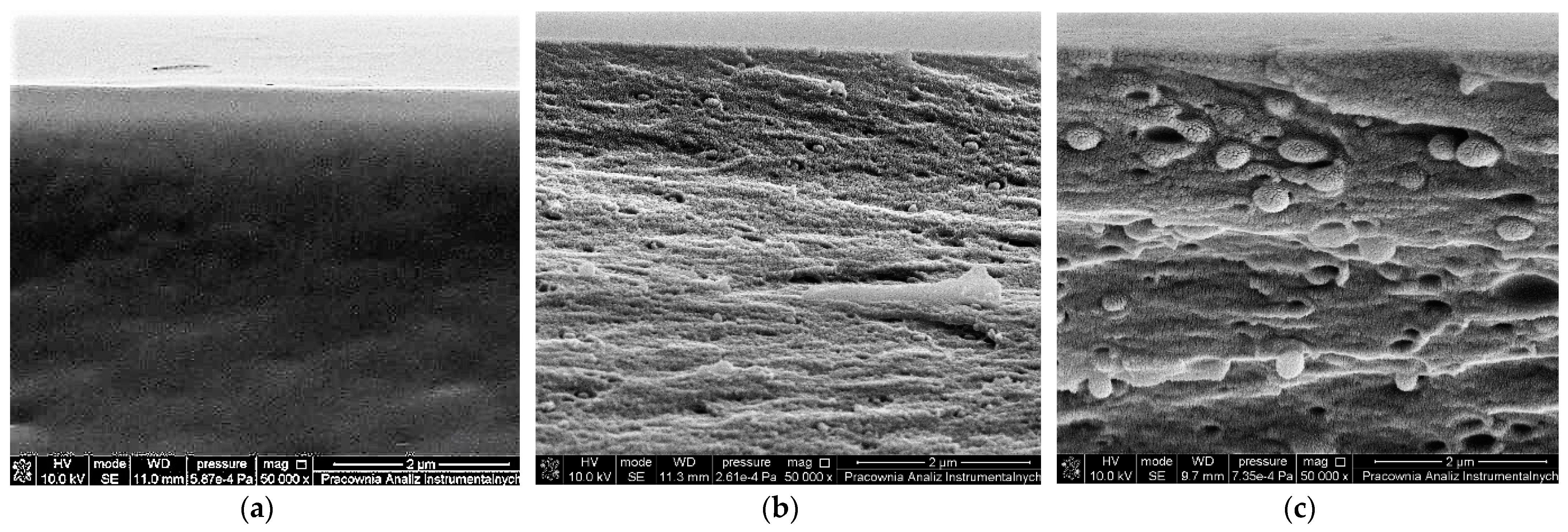 Ijms 24 01770 g007 Ijms 24 01770 g007