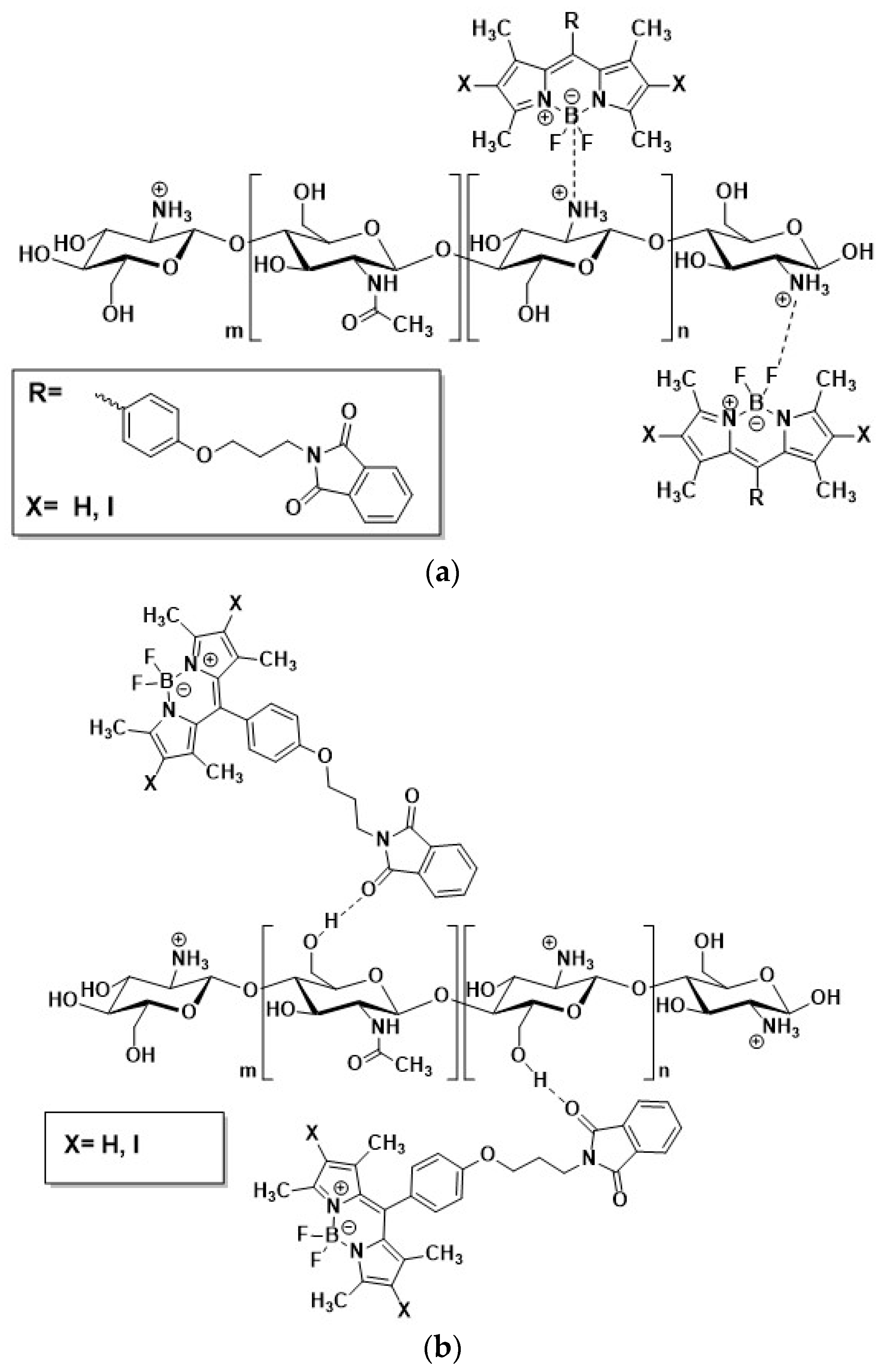 Ijms 24 01770 sch001 Ijms 24 01770 sch001