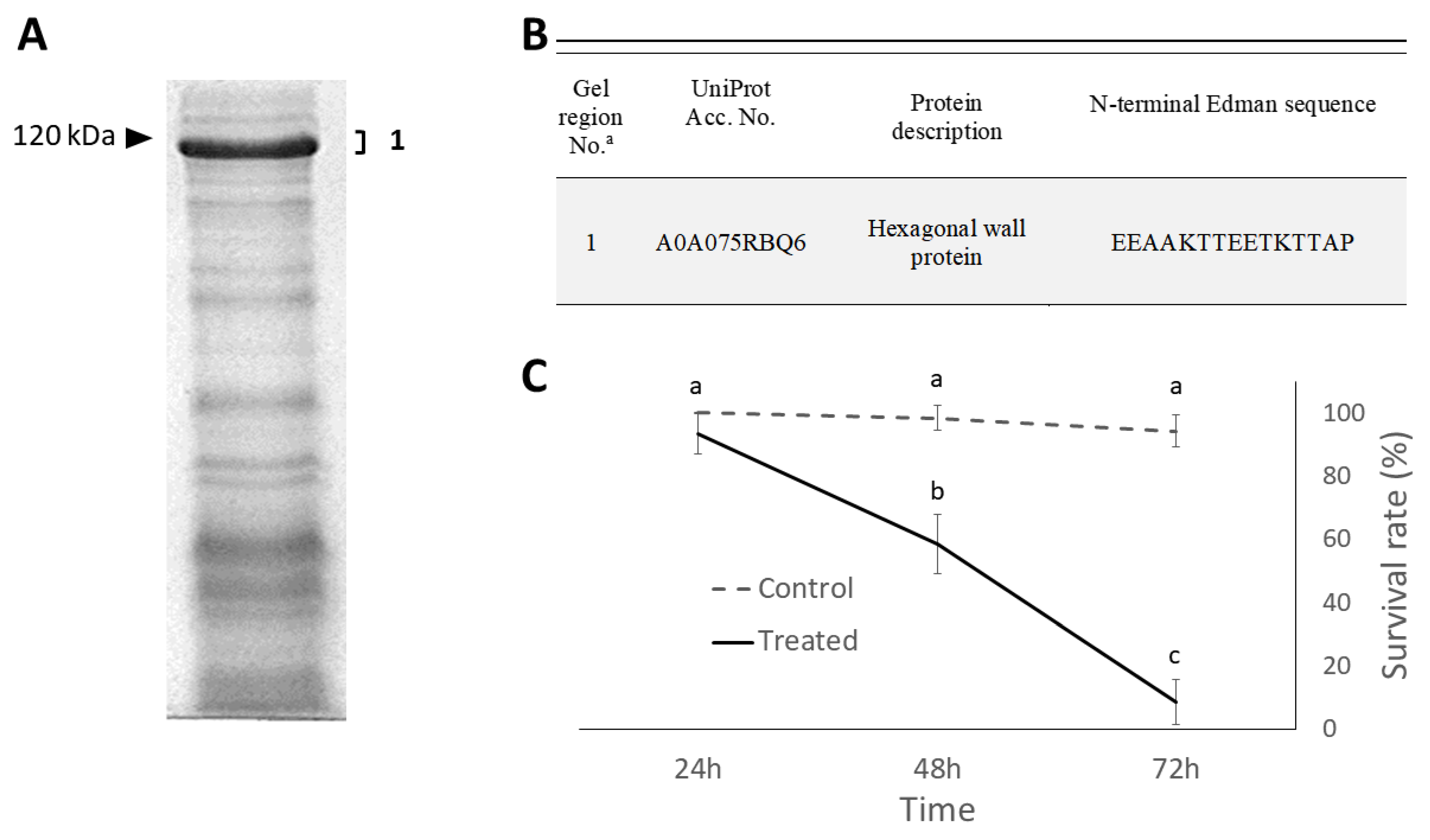 Ijms 24 01781 g003 Ijms 24 01781 g003