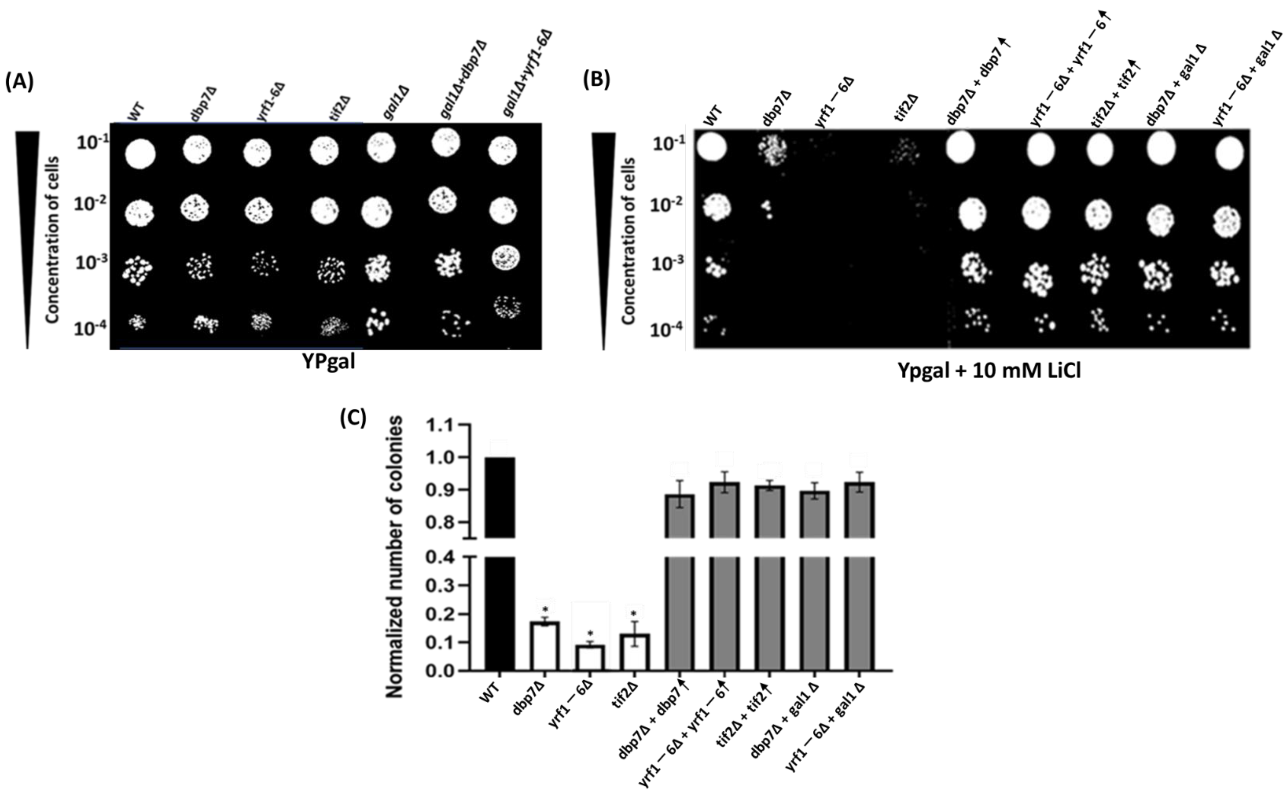 Ijms 24 01785 g001 Ijms 24 01785 g001
