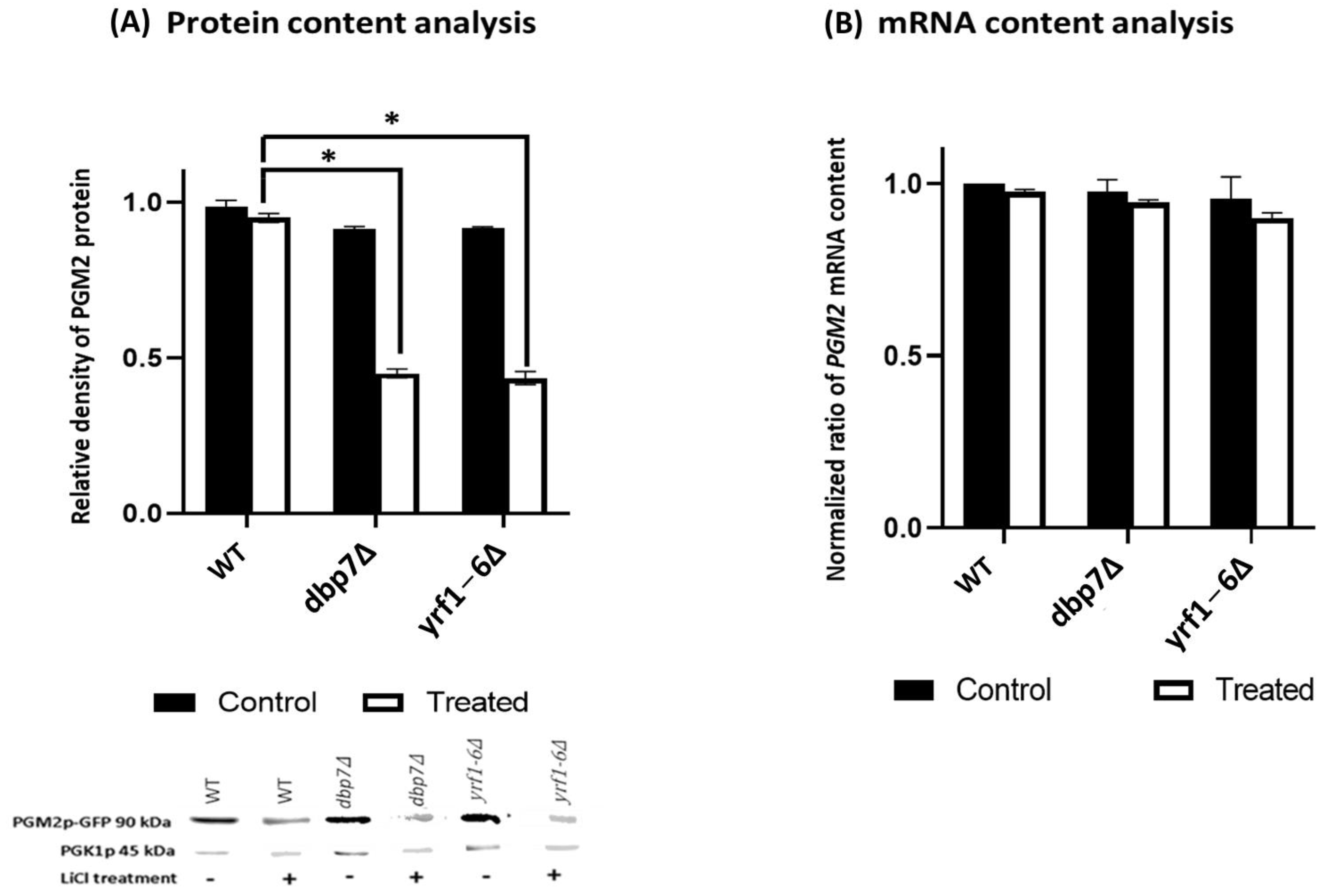 Ijms 24 01785 g002 Ijms 24 01785 g002