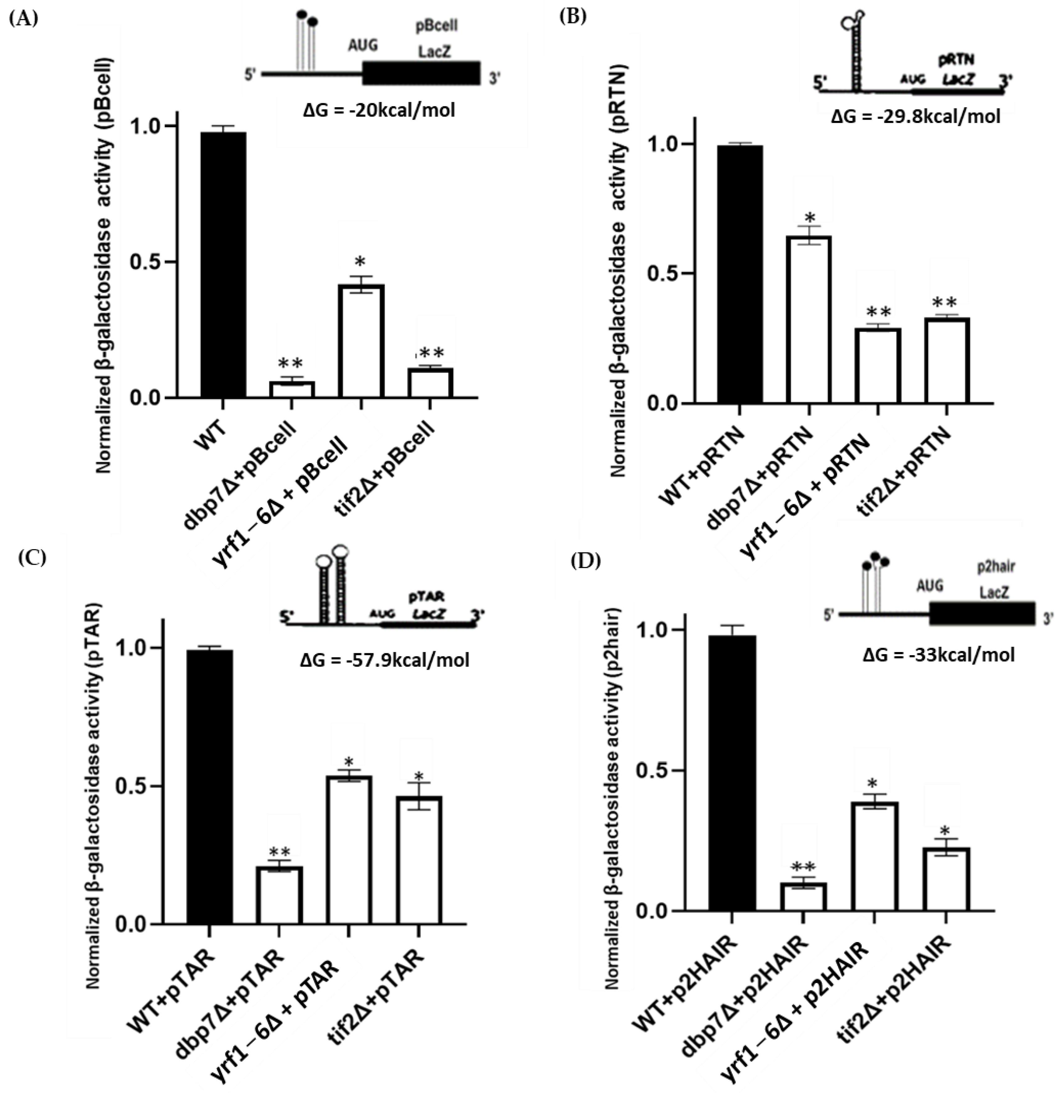 Ijms 24 01785 g004 Ijms 24 01785 g004