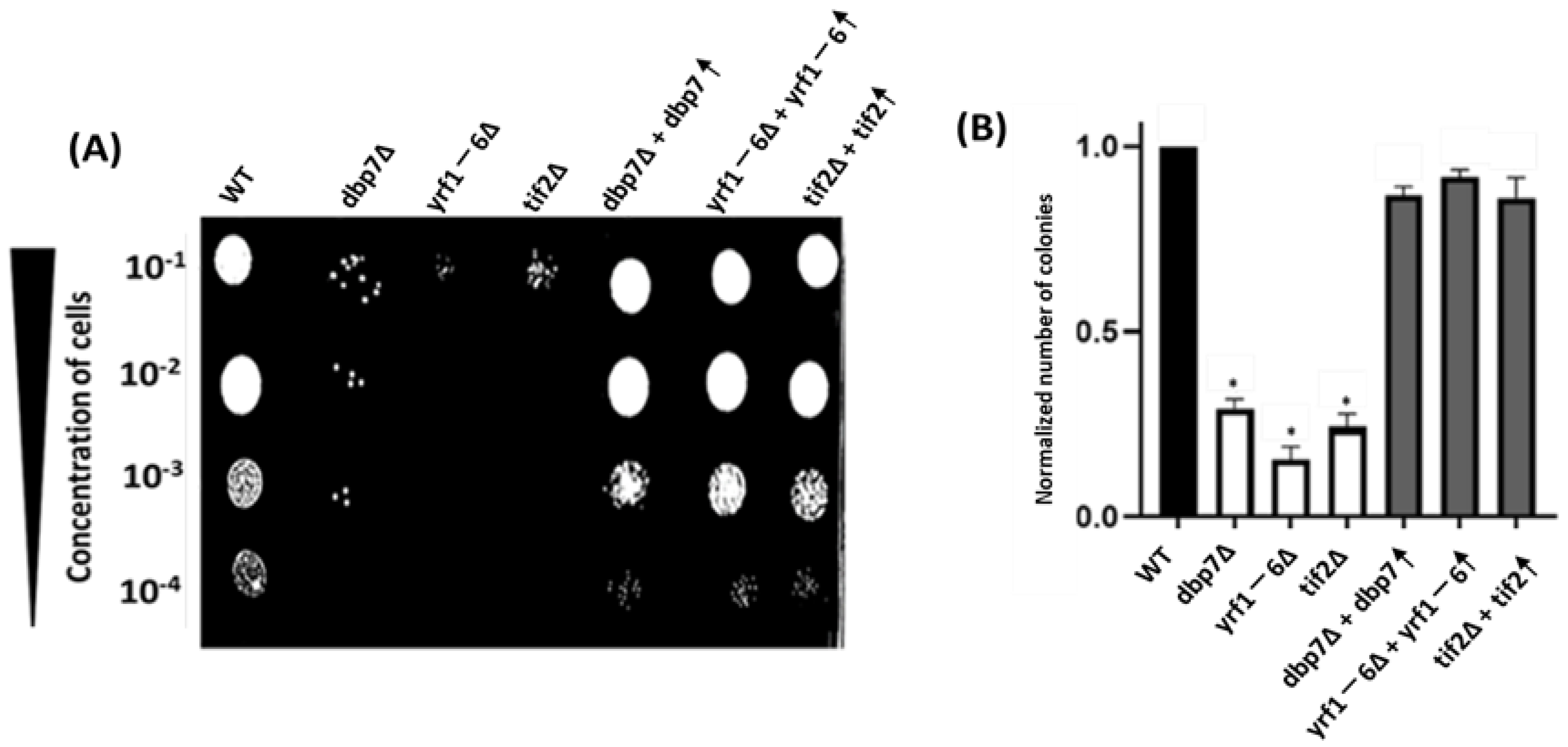 Ijms 24 01785 g005 Ijms 24 01785 g005