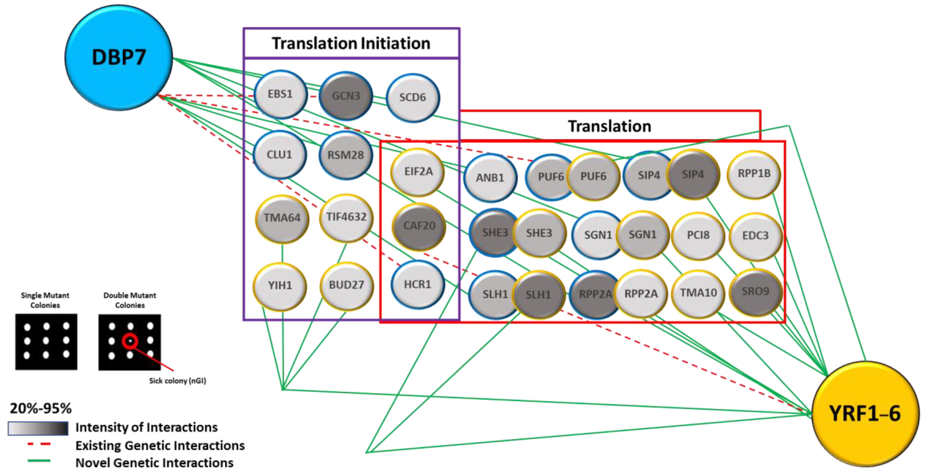 Ijms 24 01785 g006 Ijms 24 01785 g006