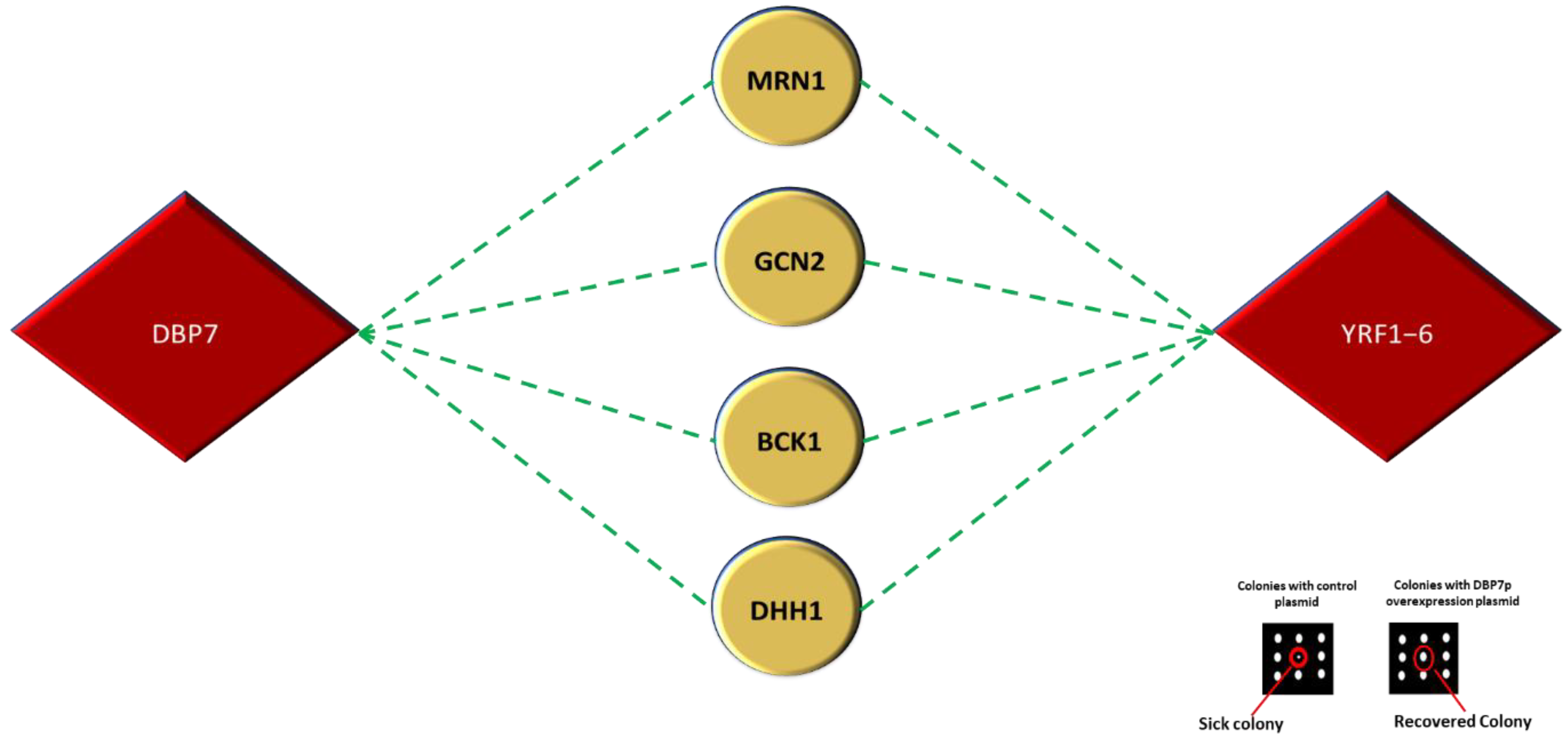 Ijms 24 01785 g008 Ijms 24 01785 g008