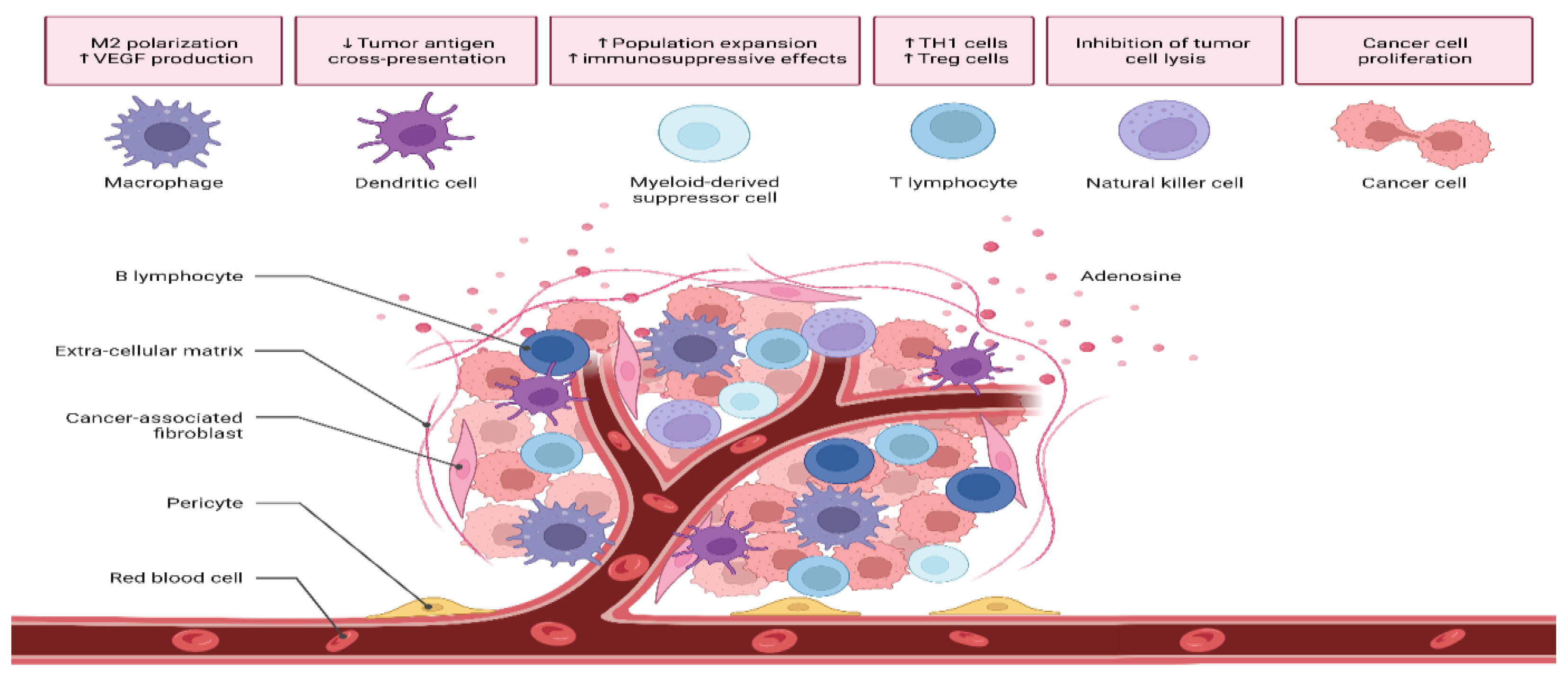 Ijms 24 01786 g002 Ijms 24 01786 g002
