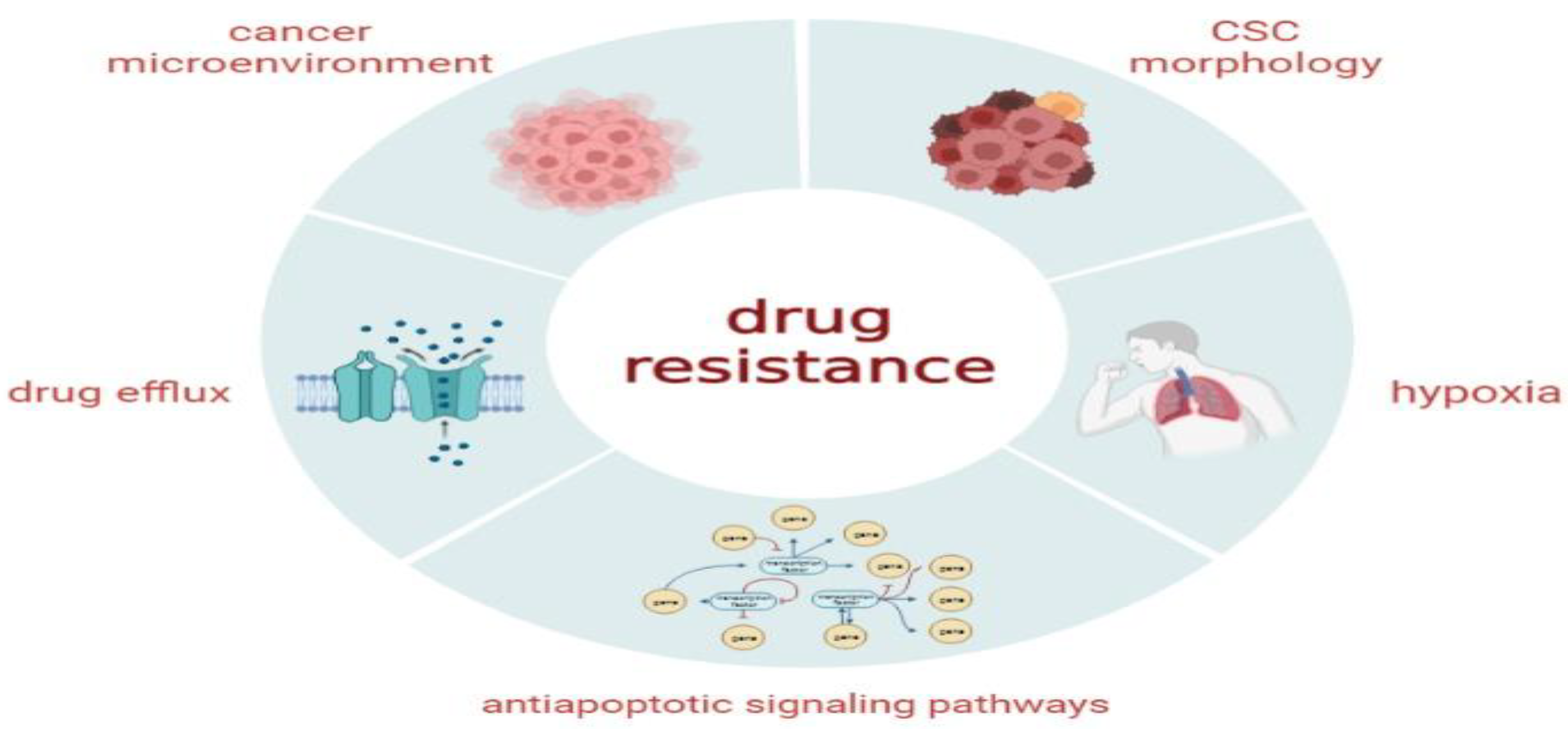 Ijms 24 01786 g004 Ijms 24 01786 g004