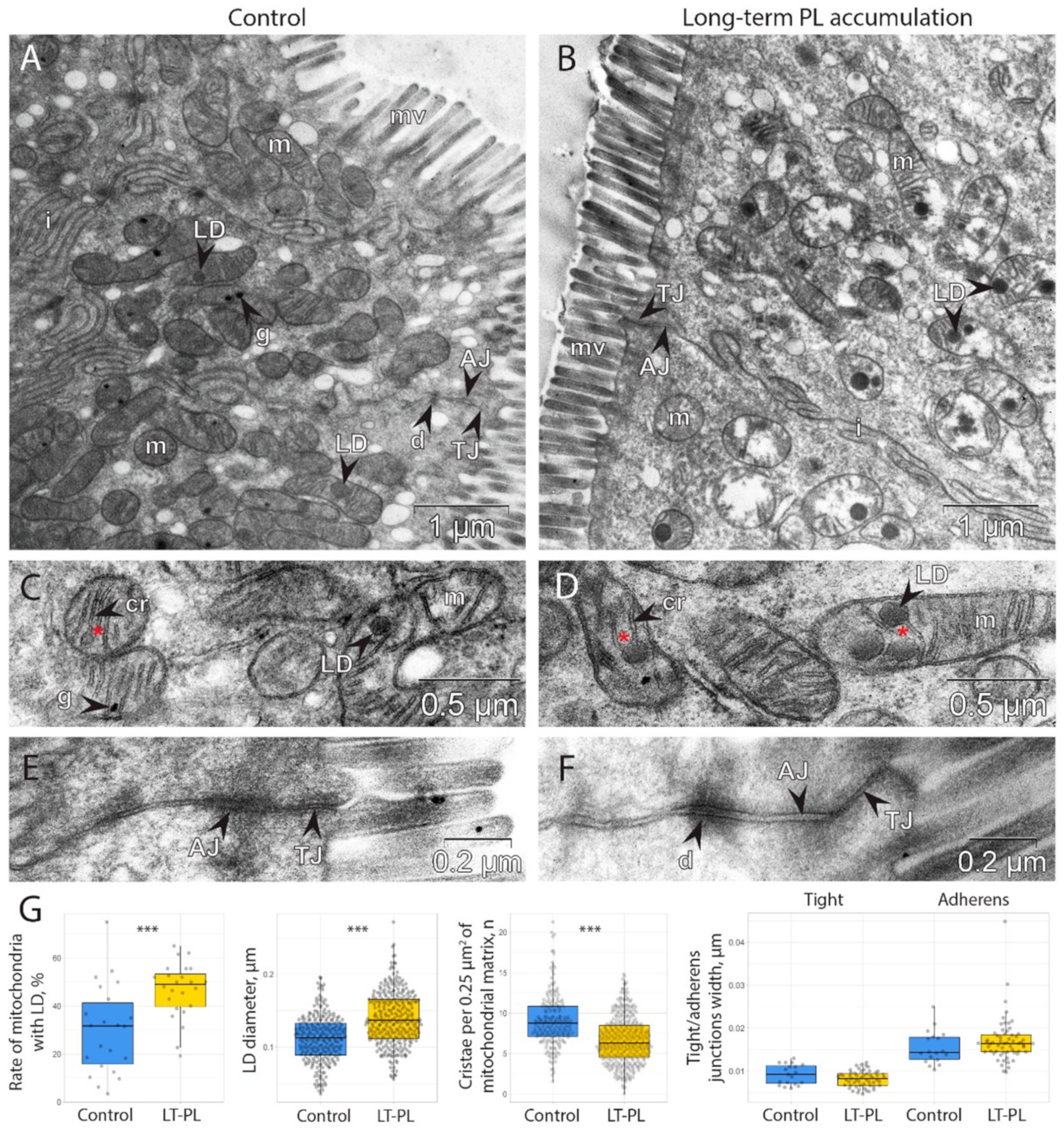 Ijms 24 01788 g002 Ijms 24 01788 g002