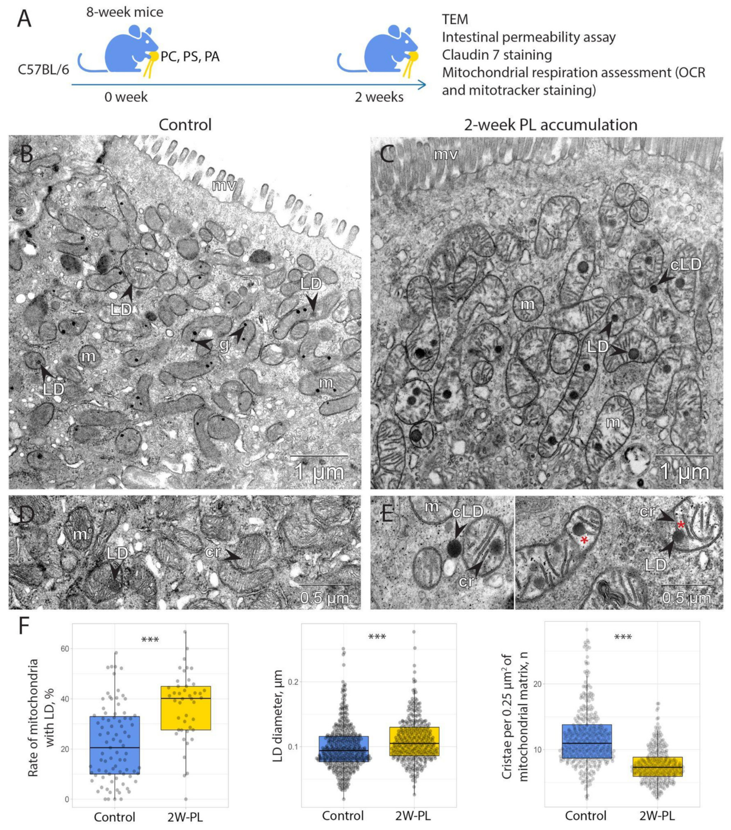 Ijms 24 01788 g003 Ijms 24 01788 g003