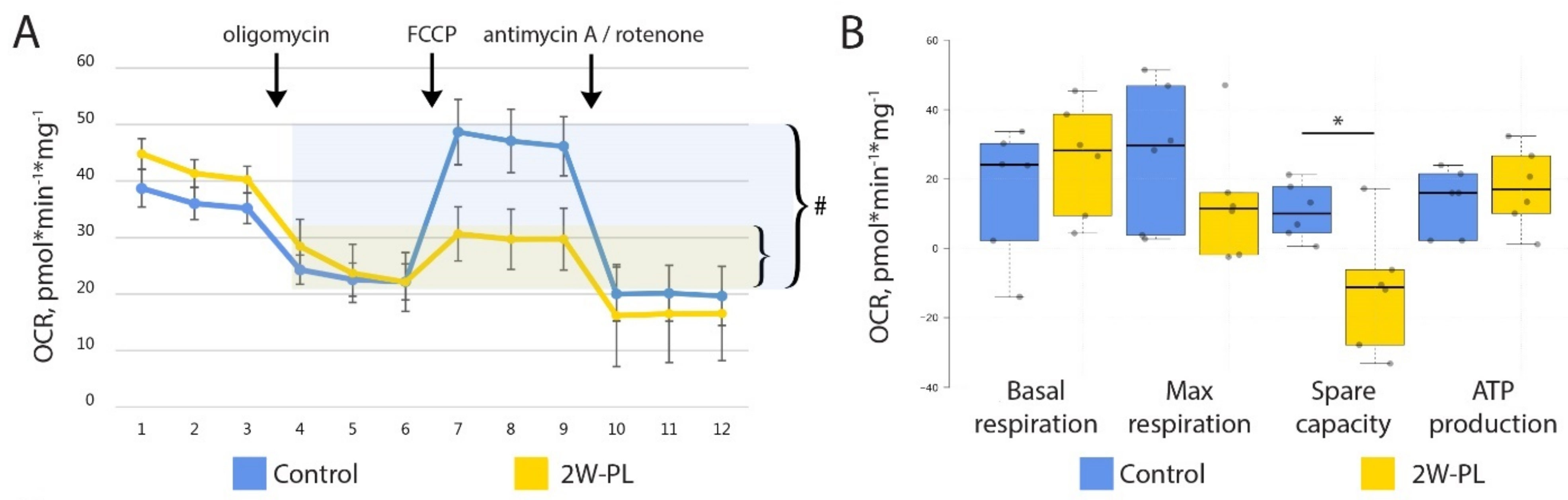 Ijms 24 01788 g004 Ijms 24 01788 g004