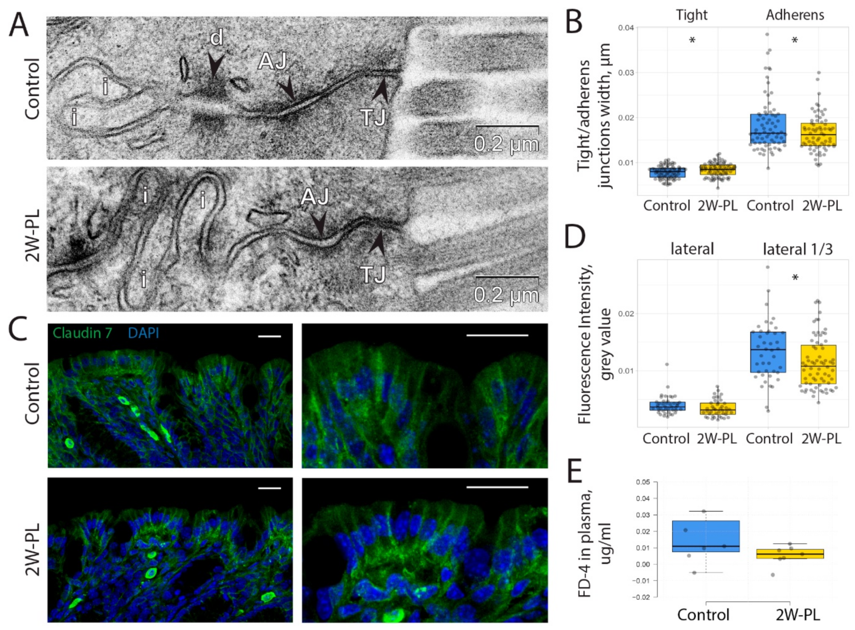 Ijms 24 01788 g005 Ijms 24 01788 g005