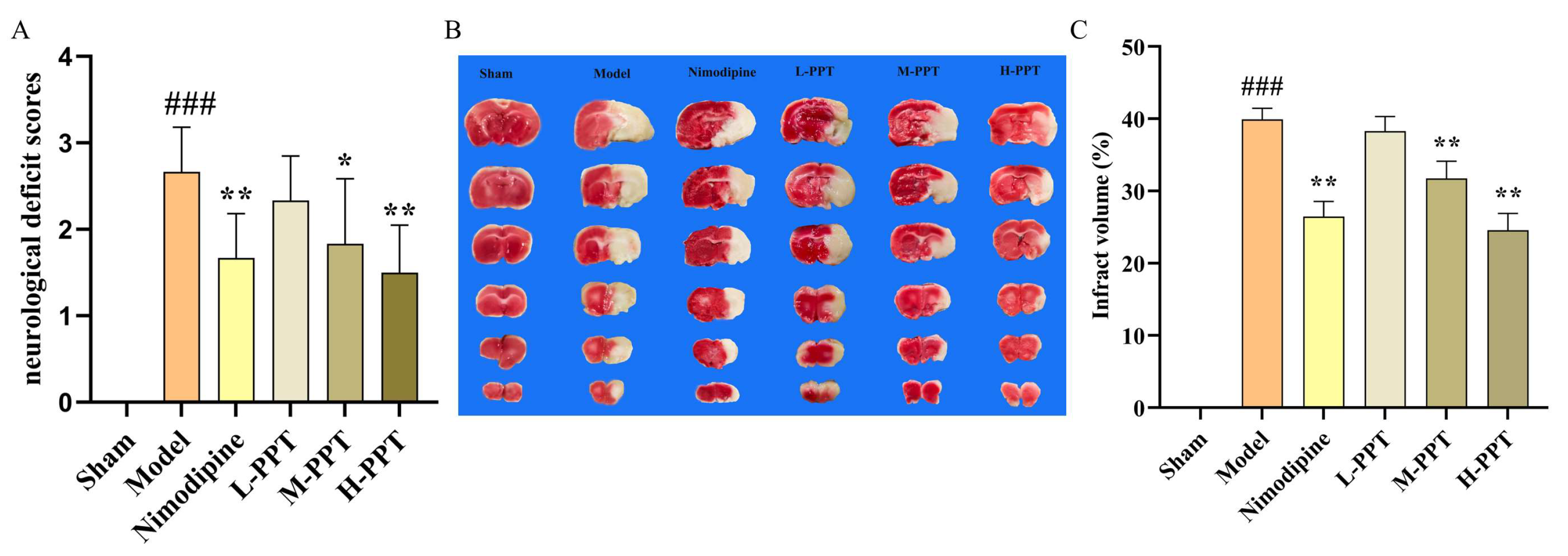 Ijms 24 01789 g002 Ijms 24 01789 g002