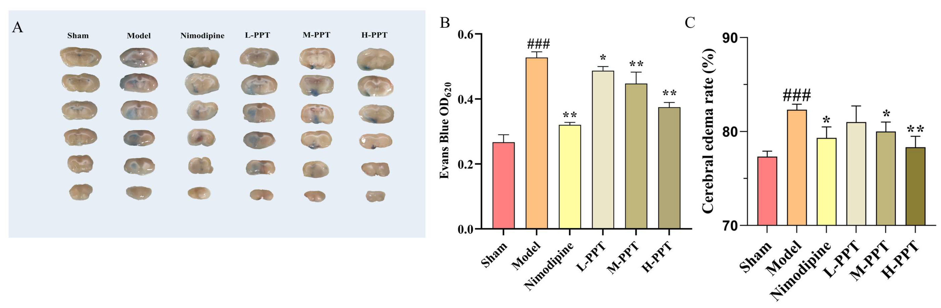 Ijms 24 01789 g003 Ijms 24 01789 g003
