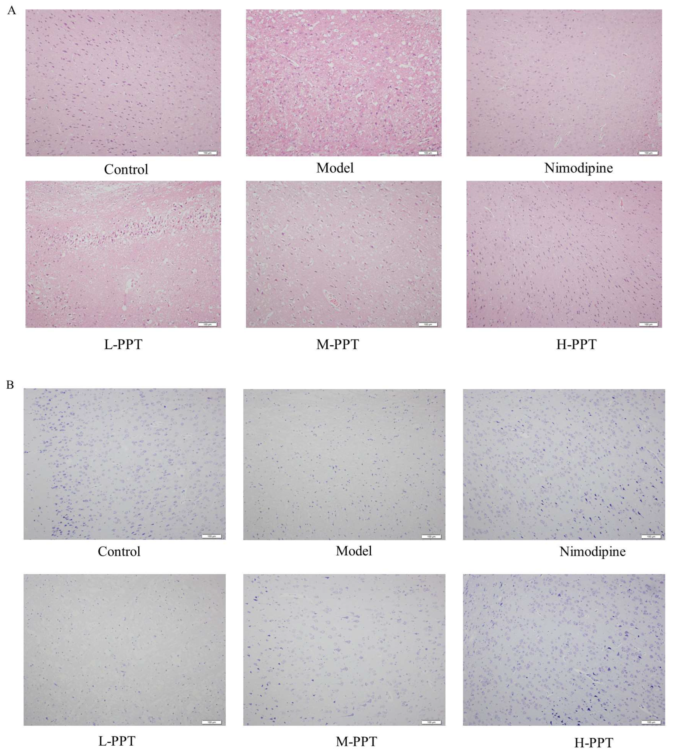 Ijms 24 01789 g004 Ijms 24 01789 g004