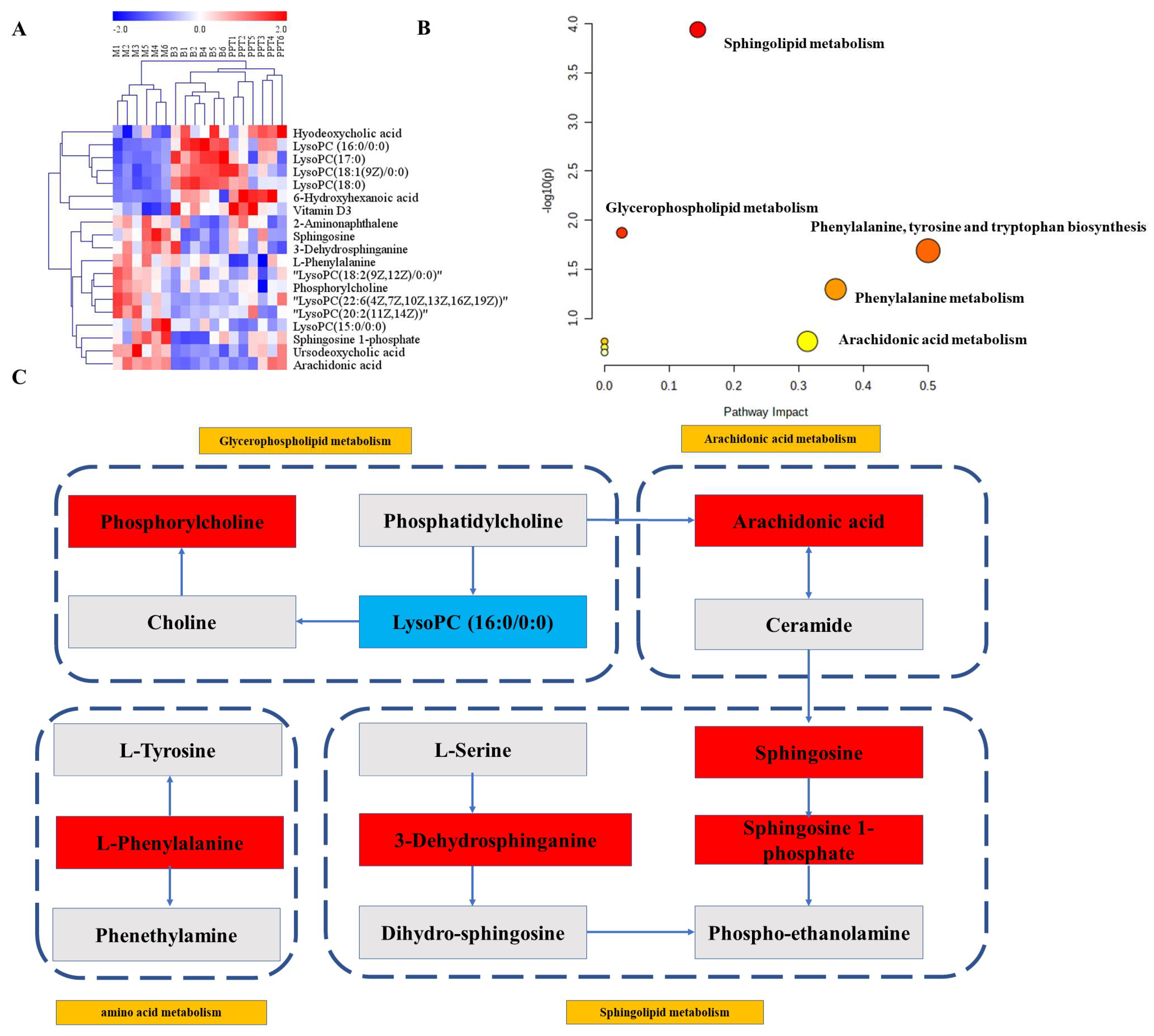 Ijms 24 01789 g008 Ijms 24 01789 g008