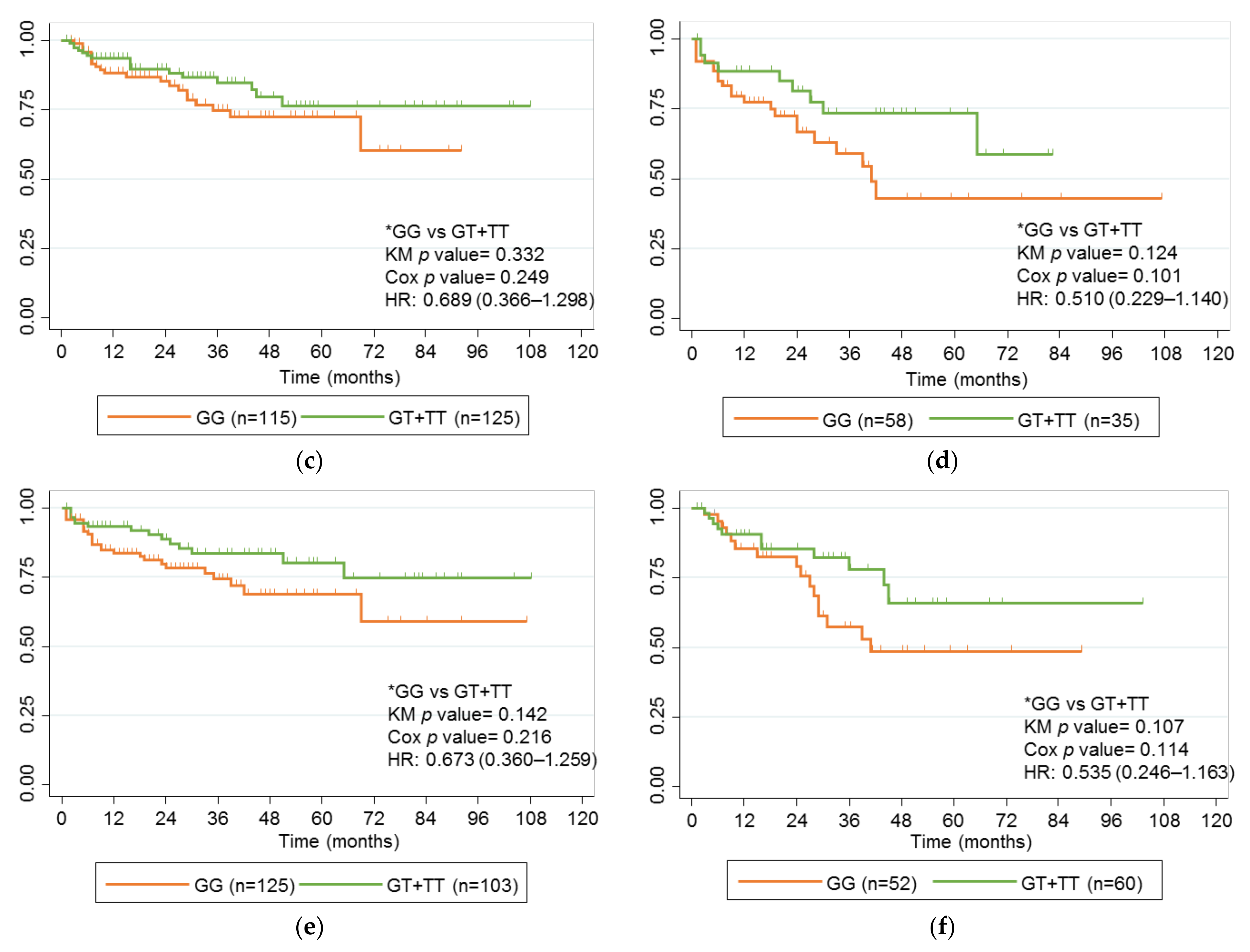Ijms 24 01797 g002b Ijms 24 01797 g002b