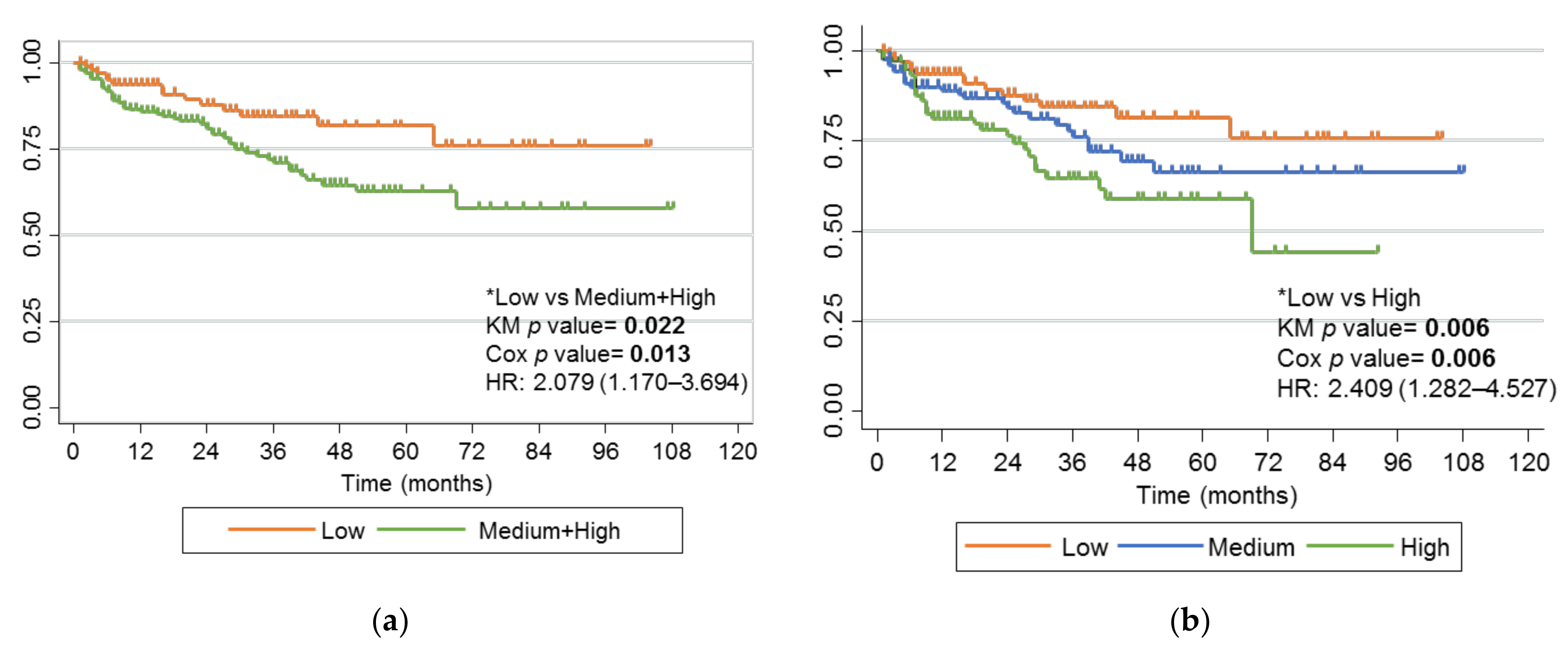 Ijms 24 01797 g003 Ijms 24 01797 g003