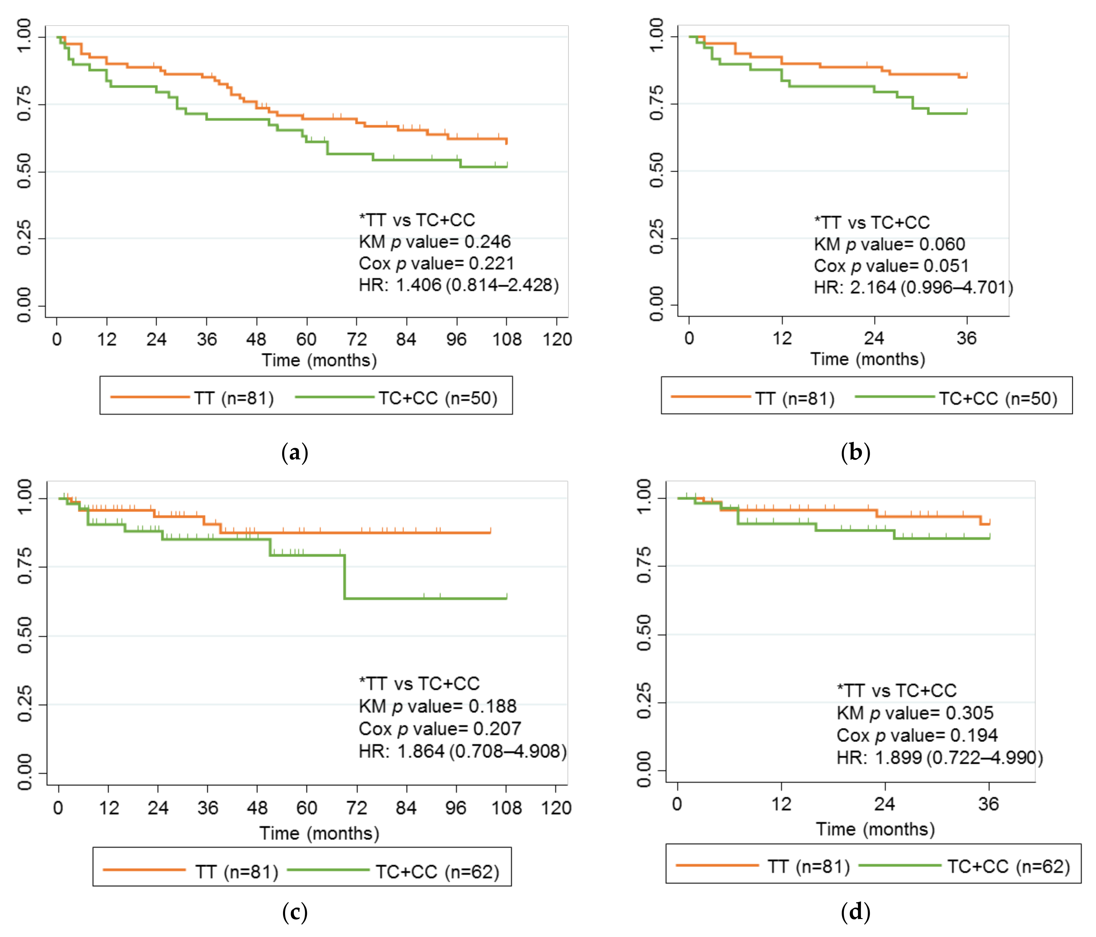 Ijms 24 01797 g004 Ijms 24 01797 g004
