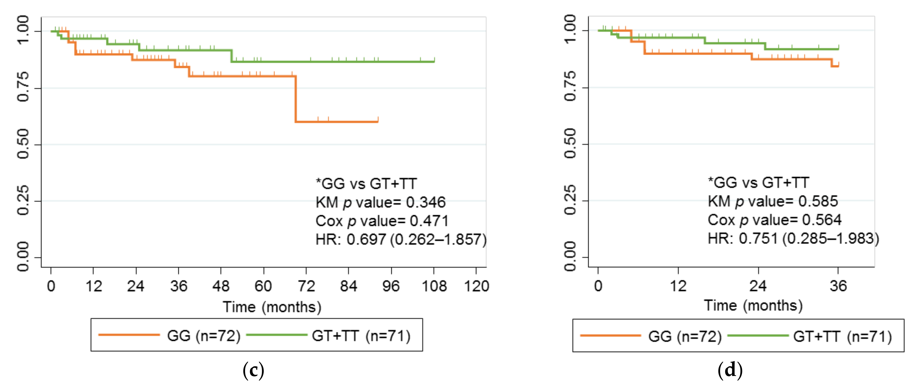 Ijms 24 01797 g005b Ijms 24 01797 g005b