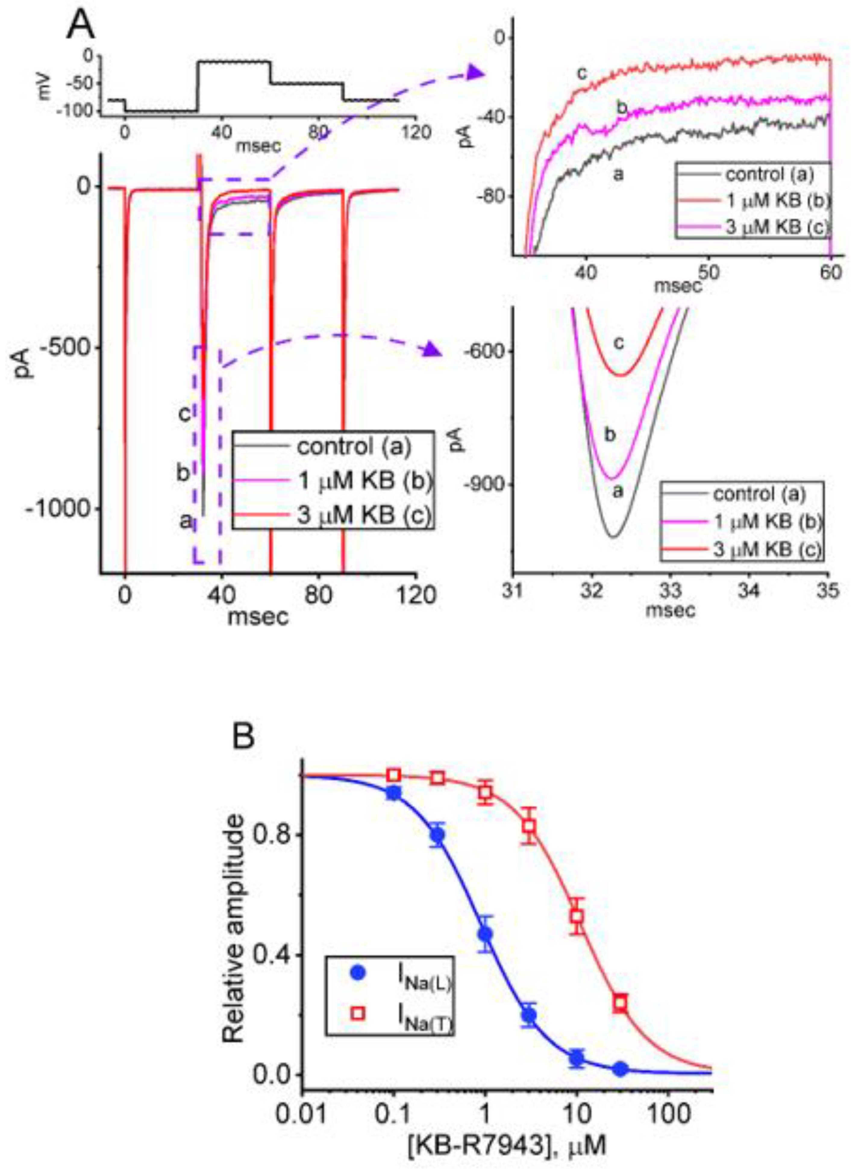 Ijms 24 01805 g001 Ijms 24 01805 g001