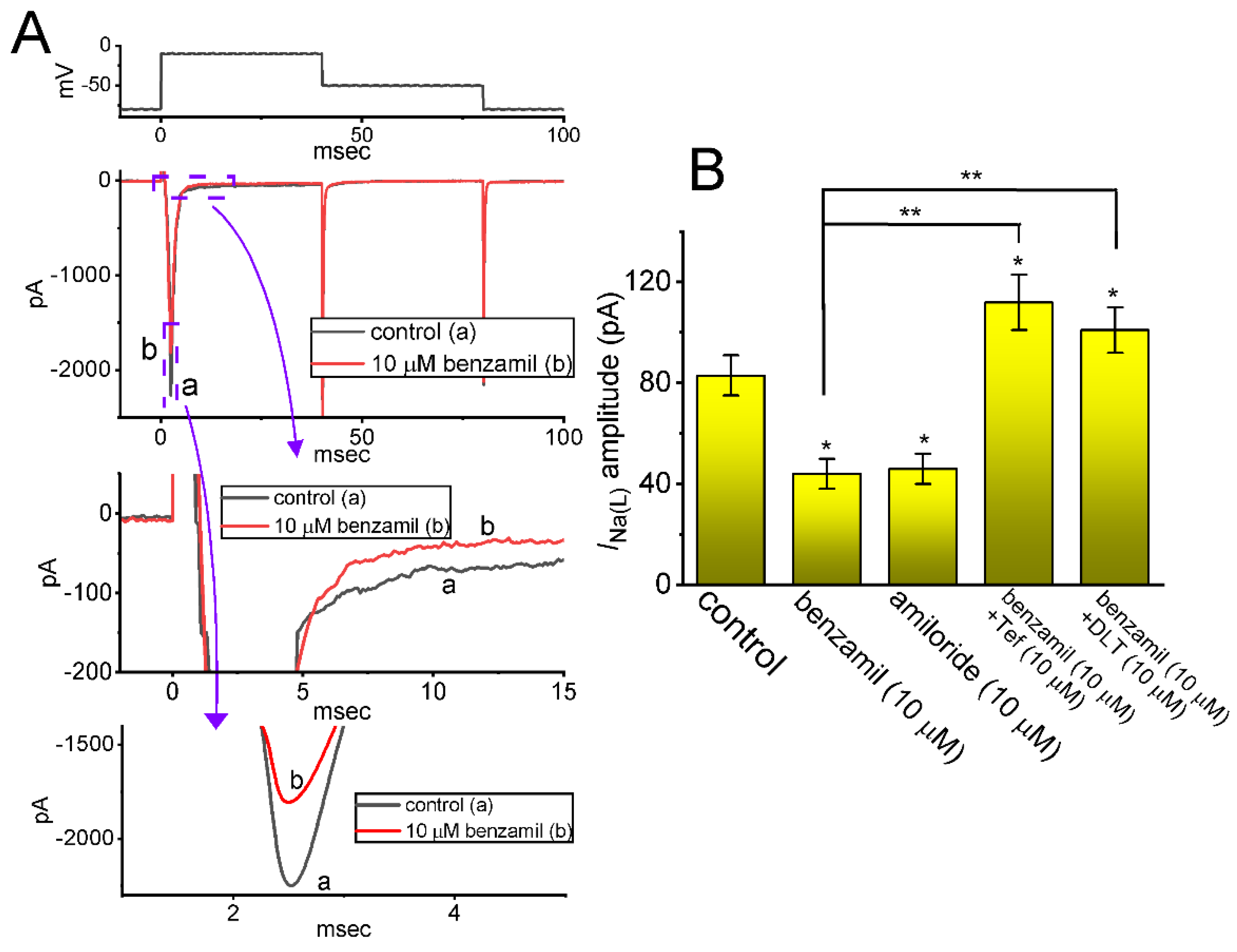 Ijms 24 01805 g002 Ijms 24 01805 g002