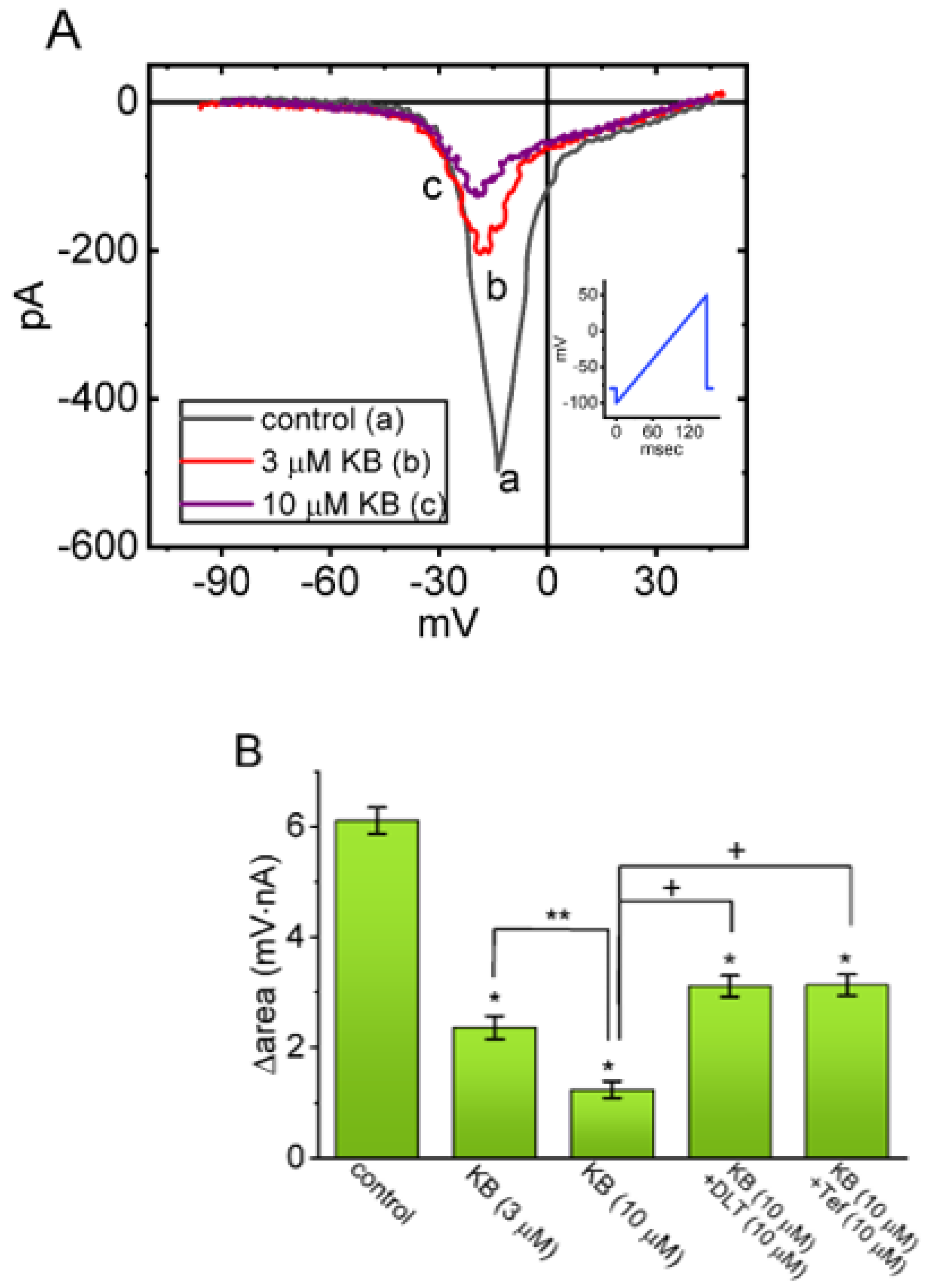 Ijms 24 01805 g004 Ijms 24 01805 g004