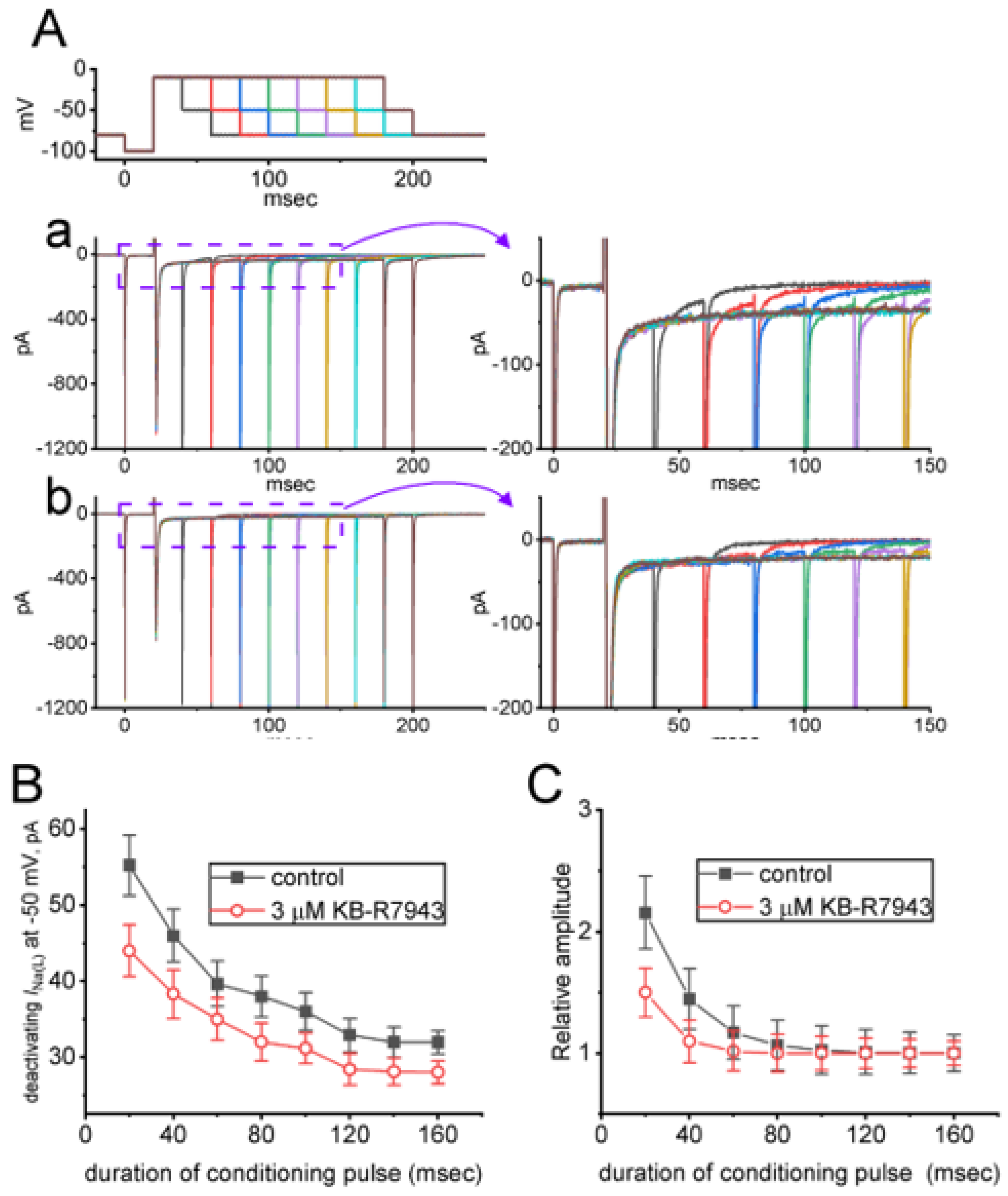 Ijms 24 01805 g005 Ijms 24 01805 g005