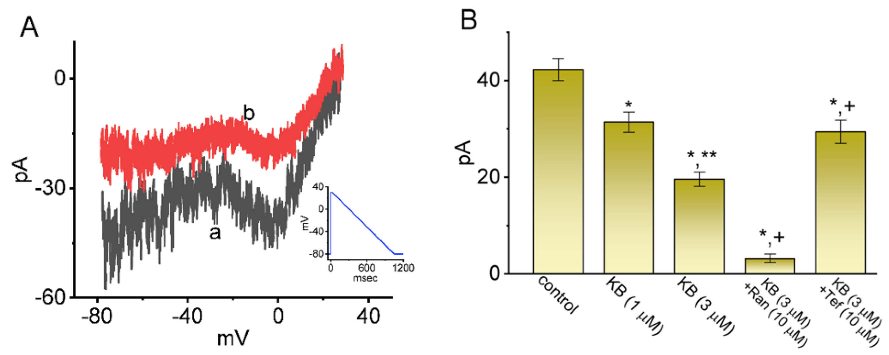Ijms 24 01805 g006 Ijms 24 01805 g006