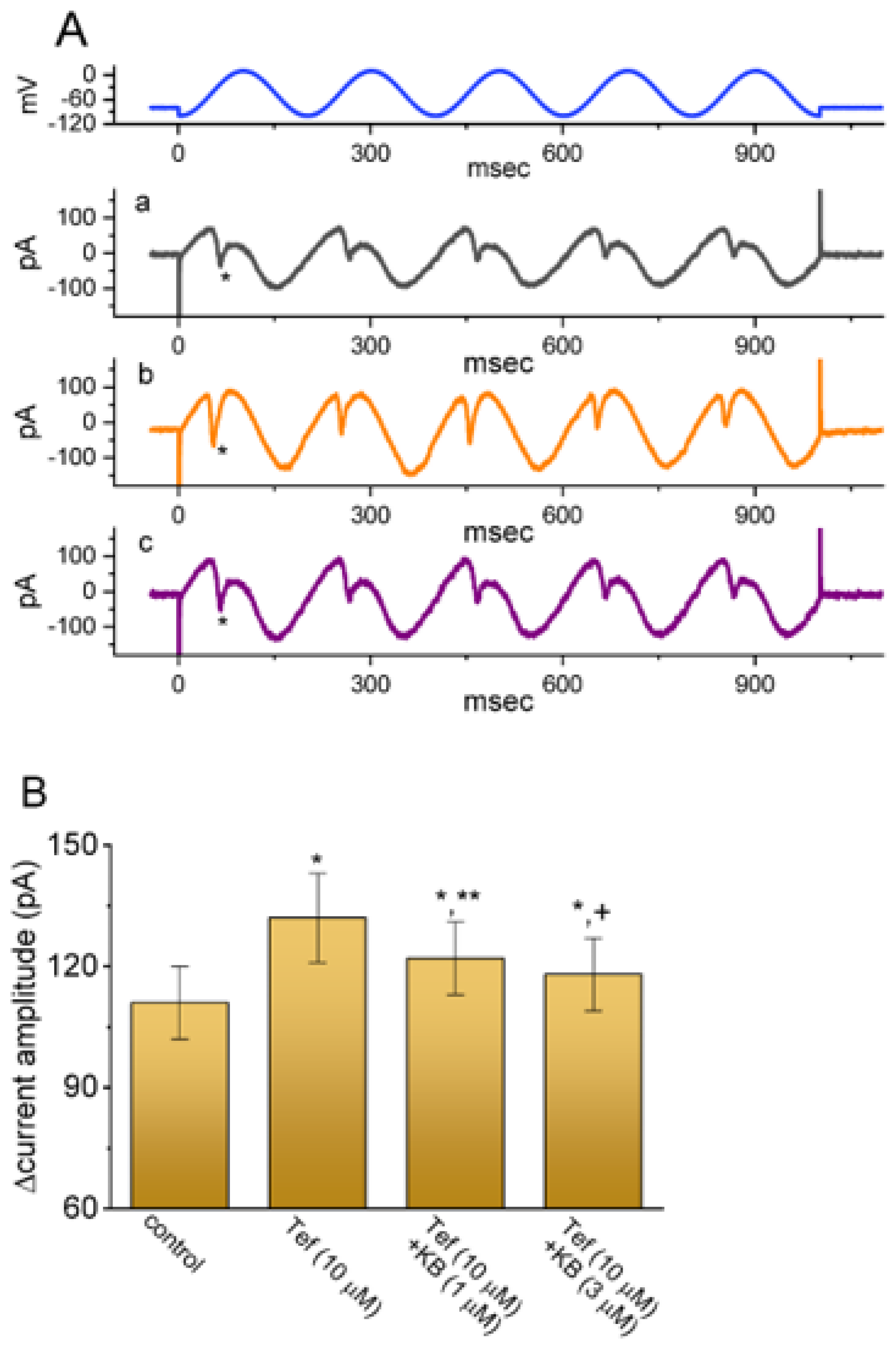 Ijms 24 01805 g007 Ijms 24 01805 g007
