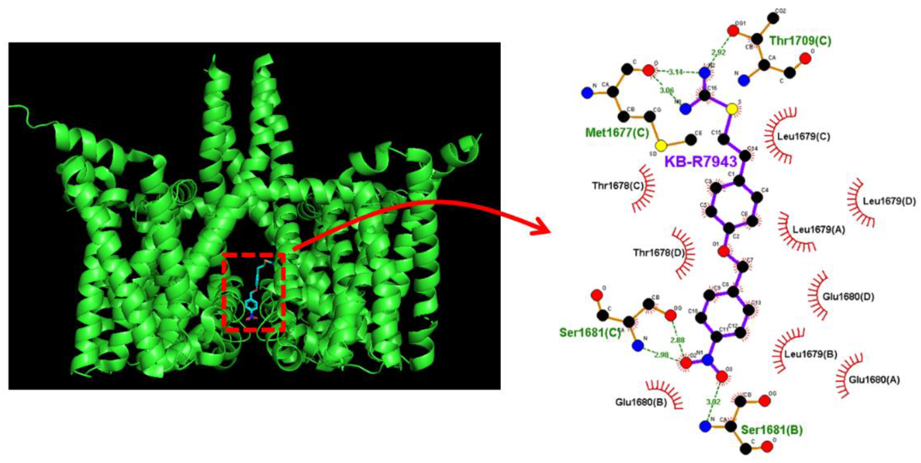 Ijms 24 01805 g008 Ijms 24 01805 g008