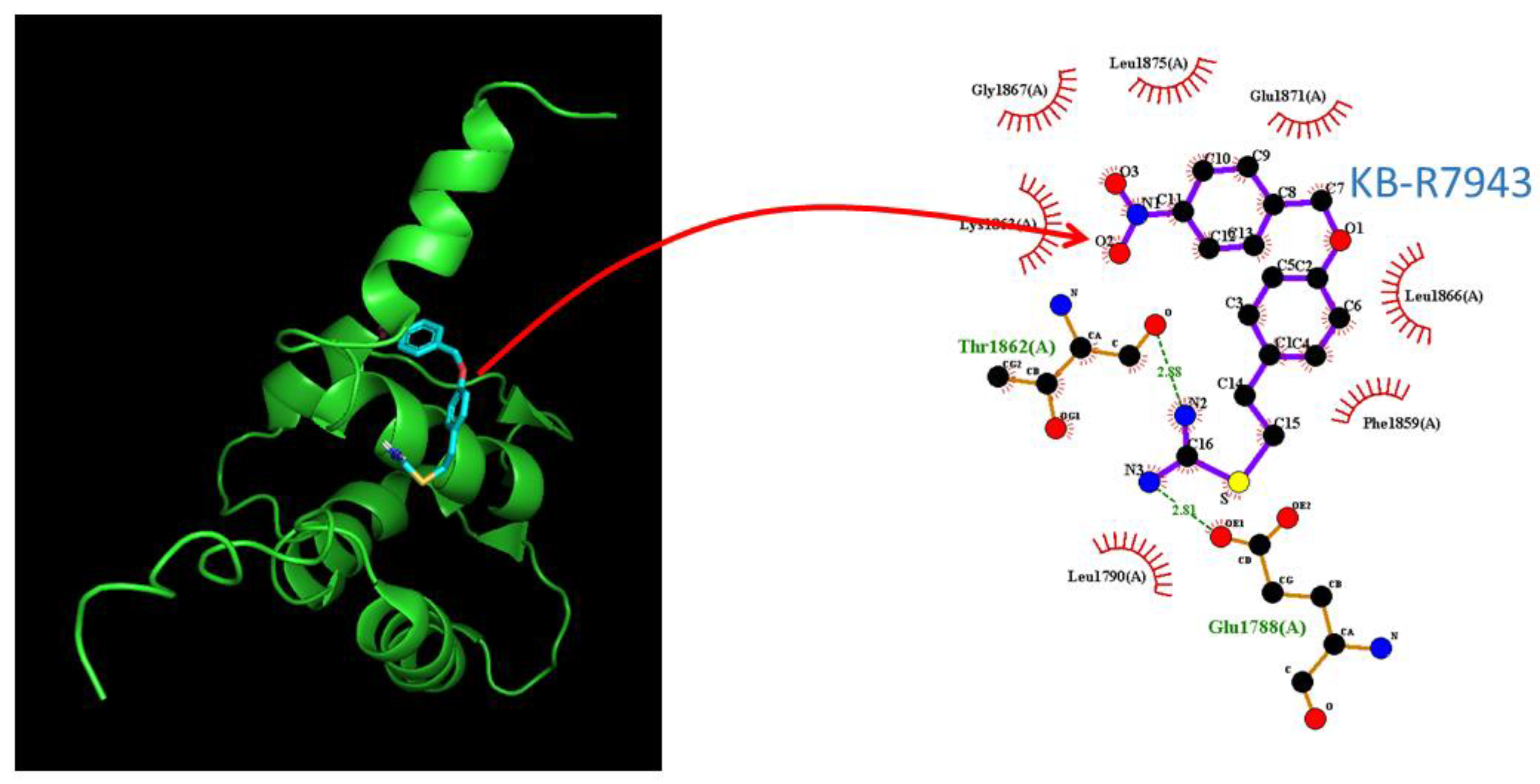 Ijms 24 01805 g009 Ijms 24 01805 g009