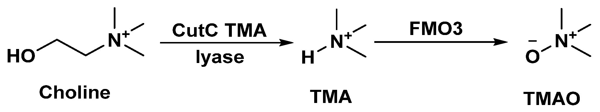 Ijms 24 01806 g002 Ijms 24 01806 g002