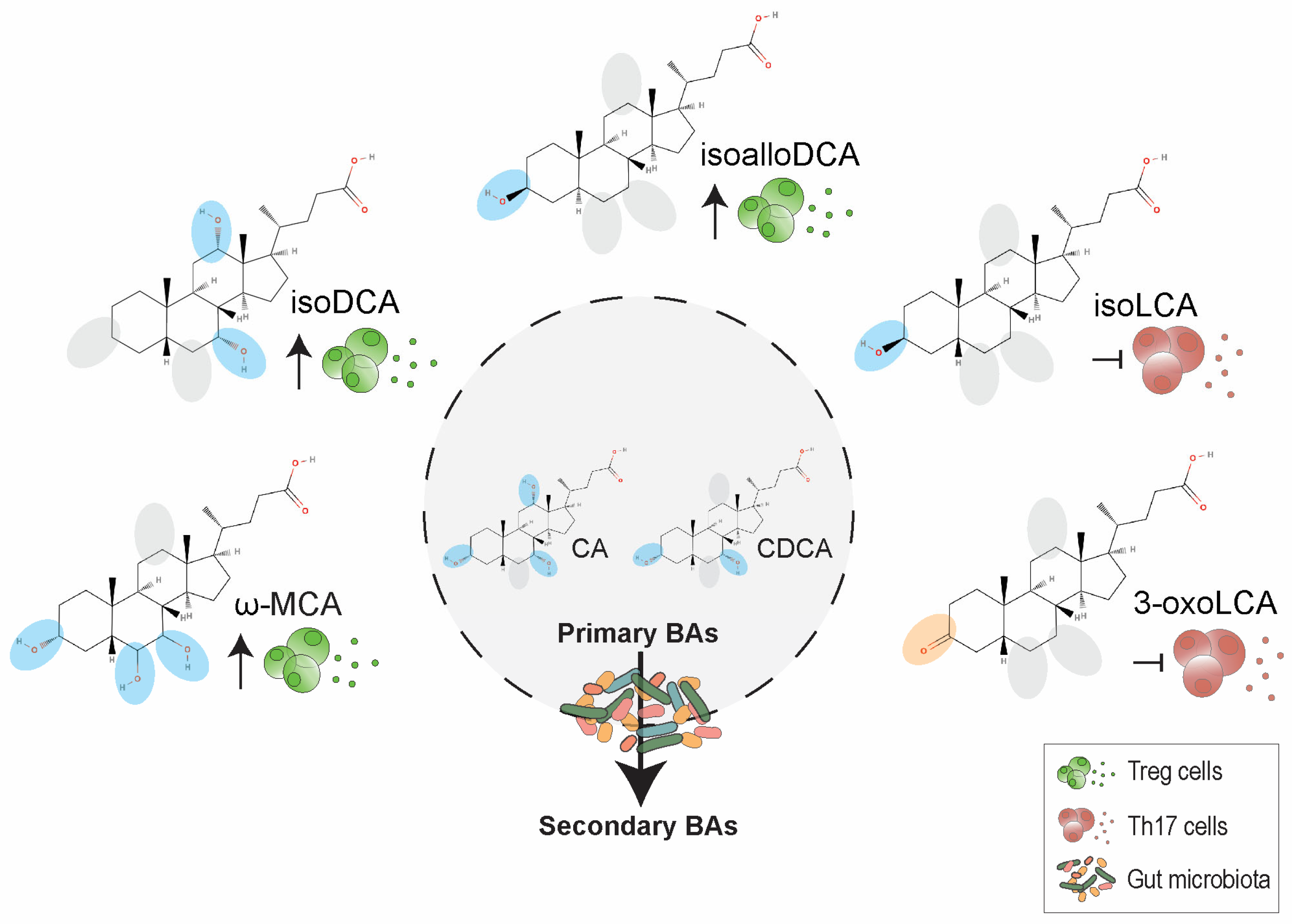 Ijms 24 01806 g004 Ijms 24 01806 g004
