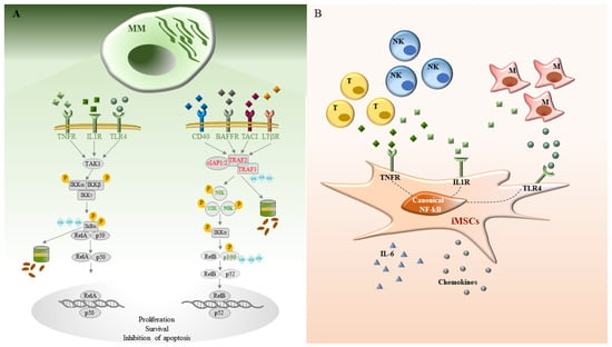 NF-κB: blending metabolism, immunity, and inflammation: Trends in Immunology