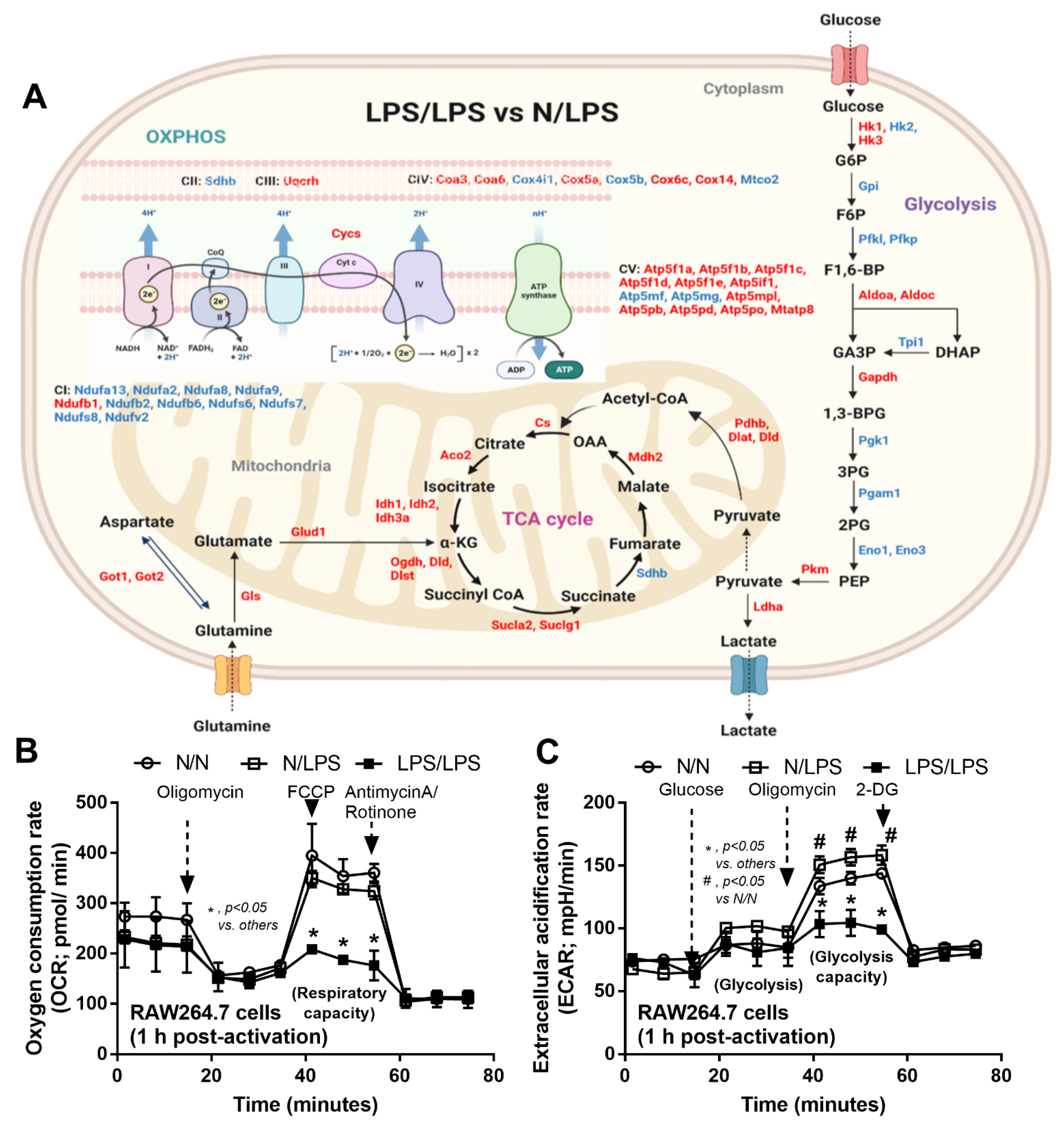 Ijms 24 01829 g002 Ijms 24 01829 g002