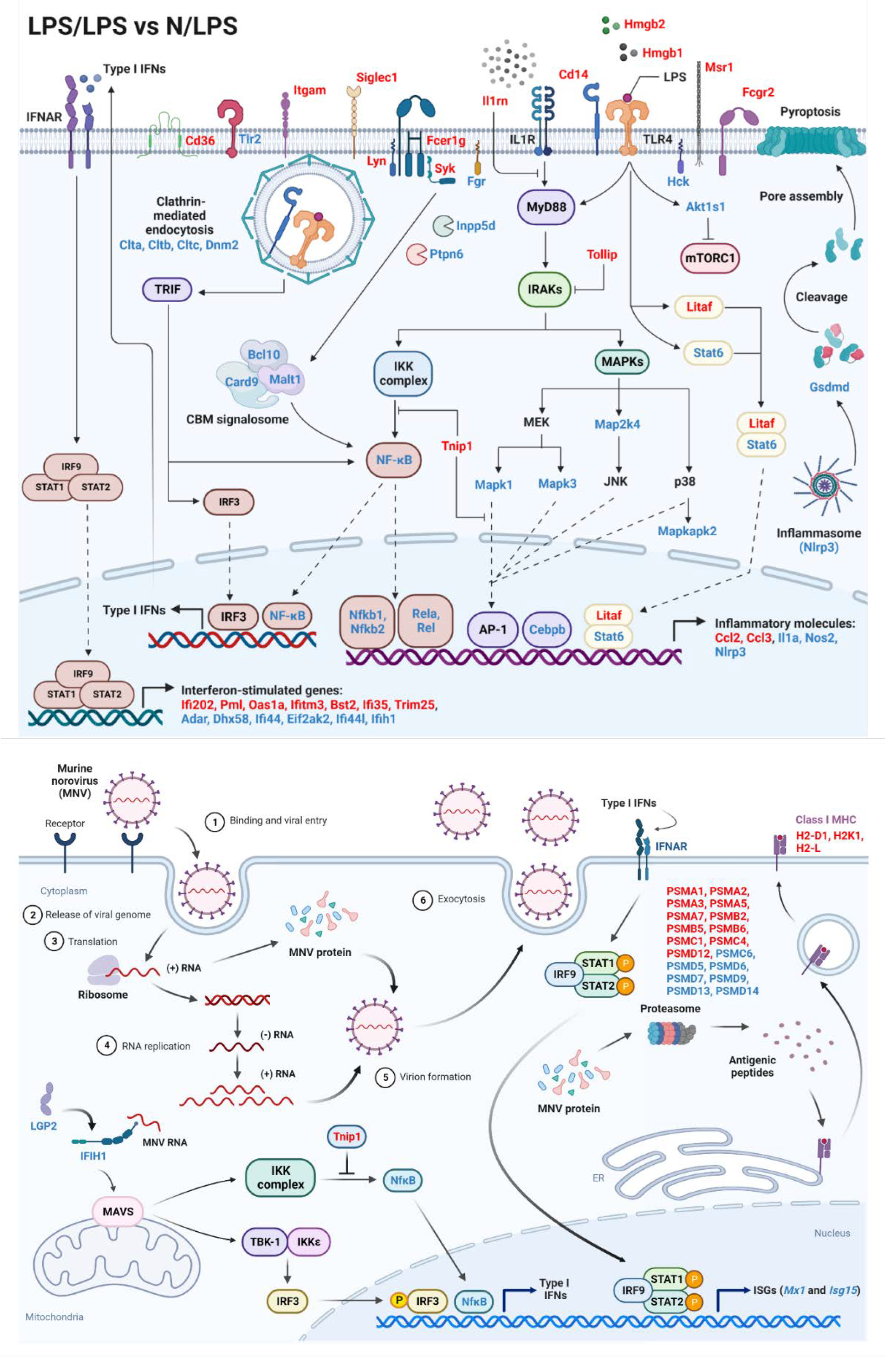 Ijms 24 01829 g003 Ijms 24 01829 g003
