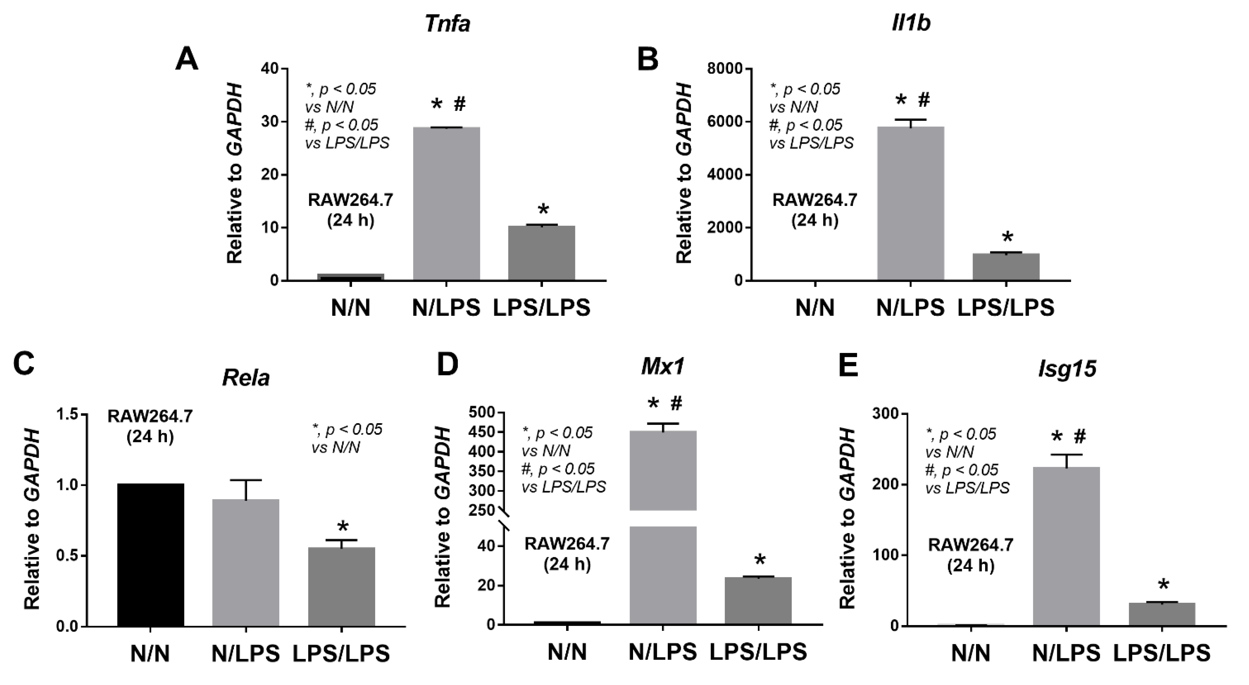 Ijms 24 01829 g004 Ijms 24 01829 g004