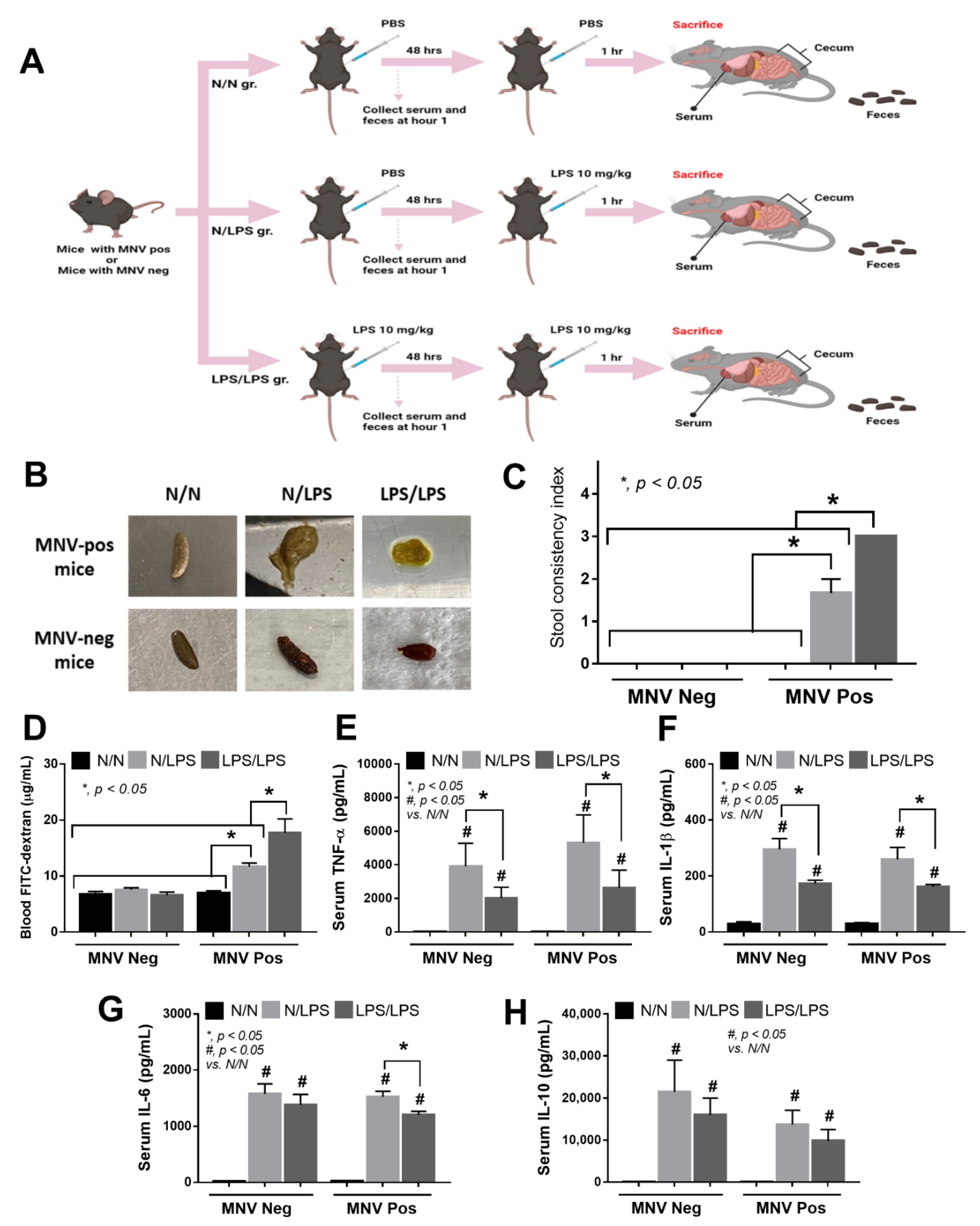 Ijms 24 01829 g005 Ijms 24 01829 g005