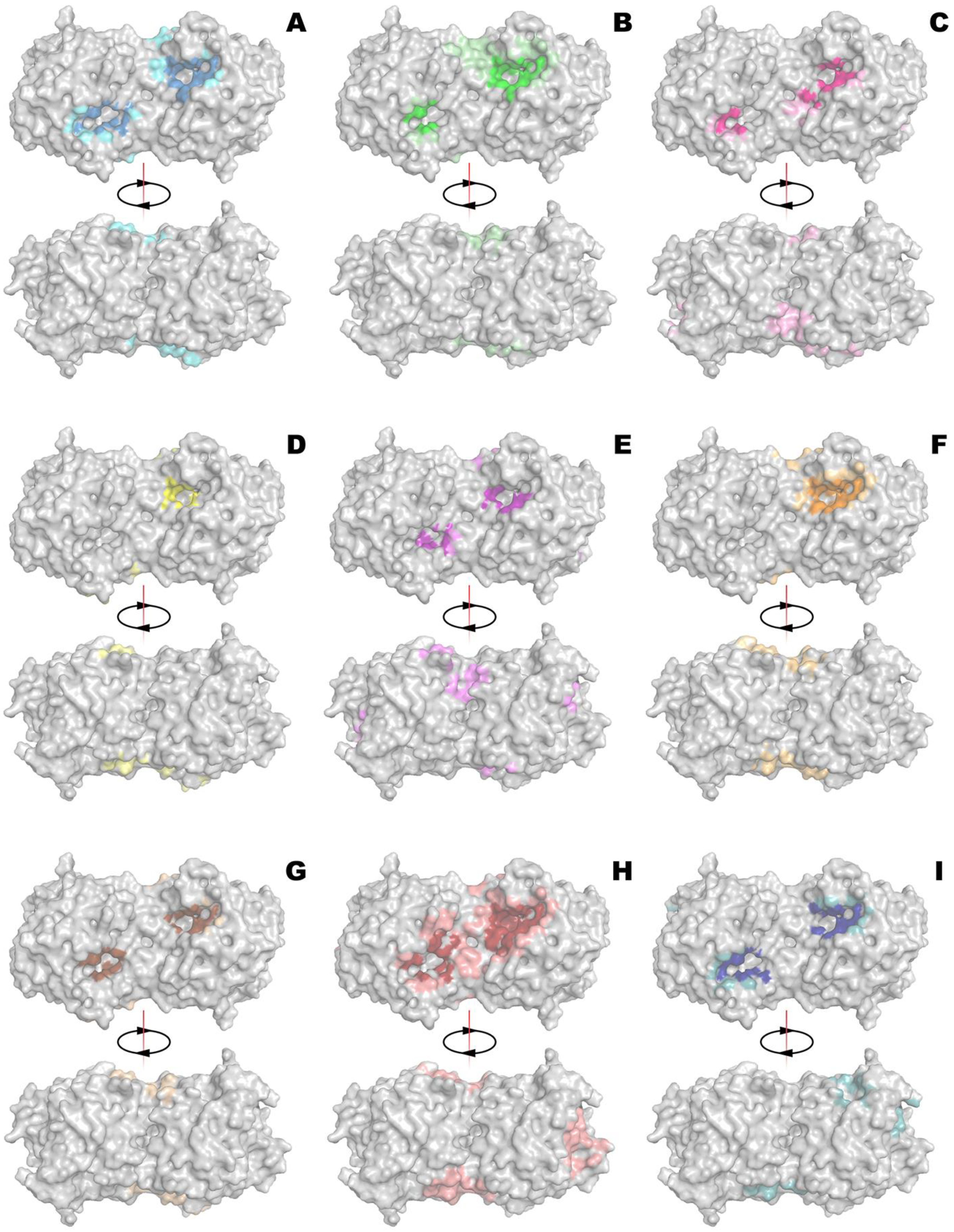 Ijms 24 01831 g002 Ijms 24 01831 g002